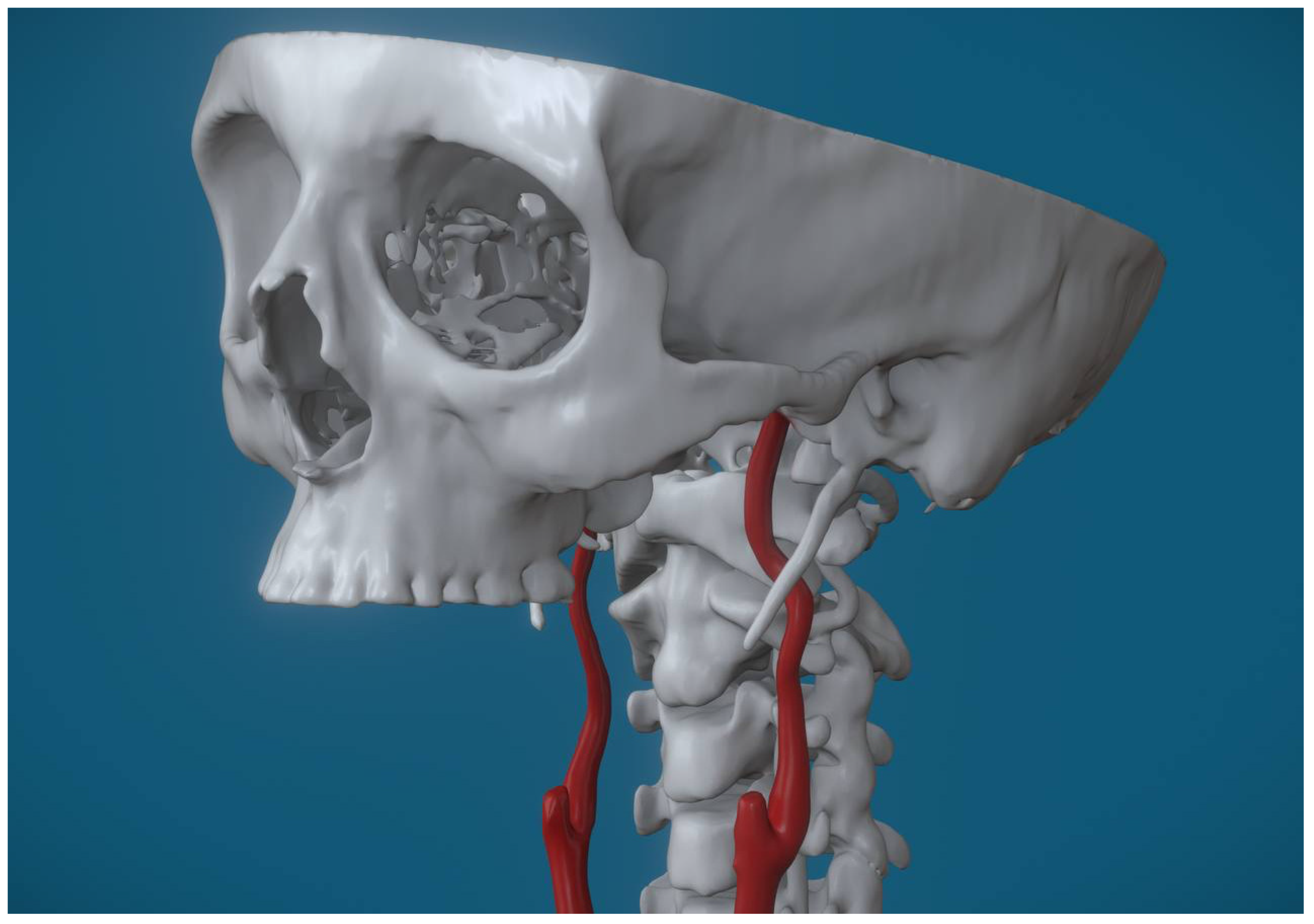 Applsci 15 13085 g002