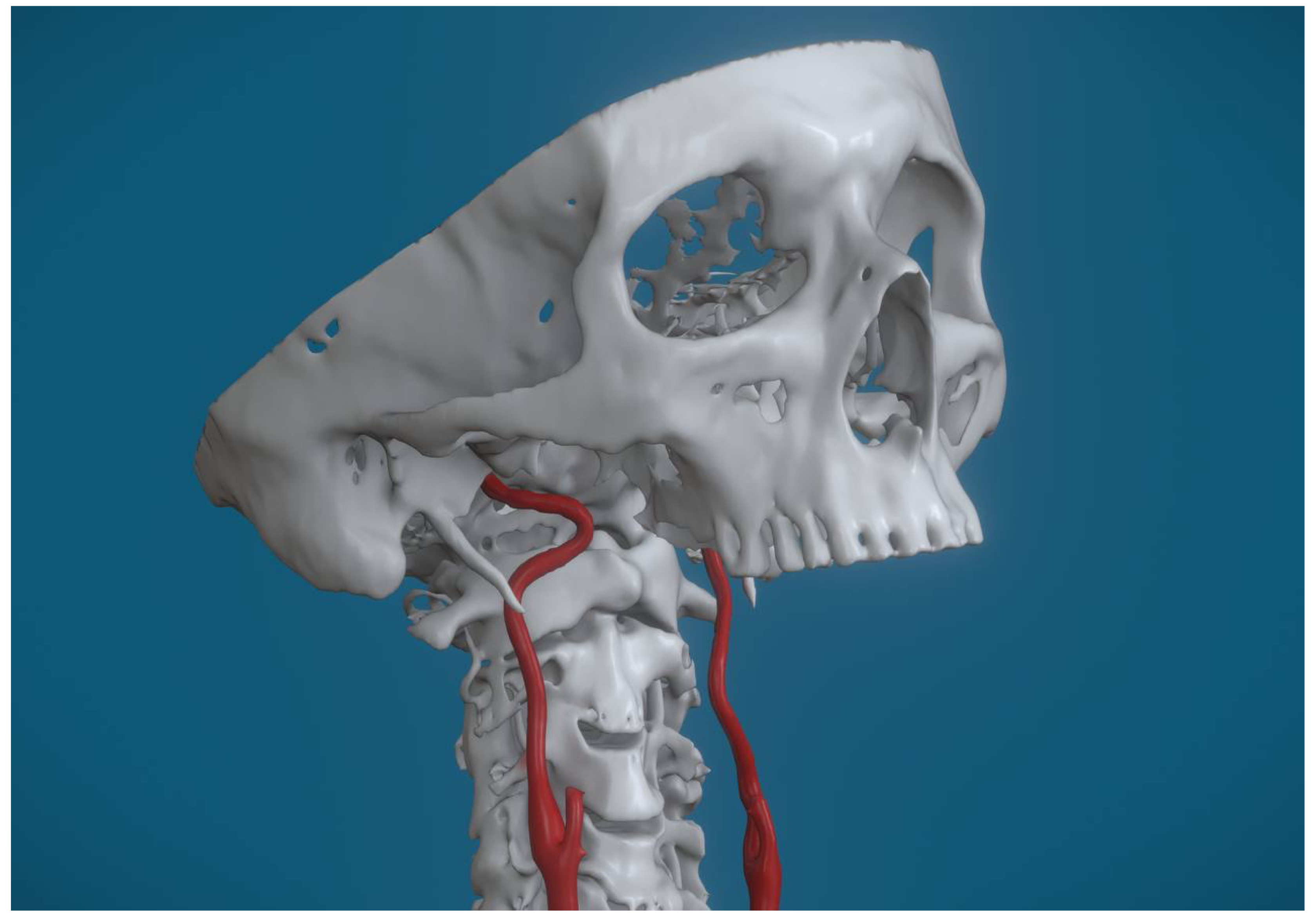 Applsci 15 13085 g003