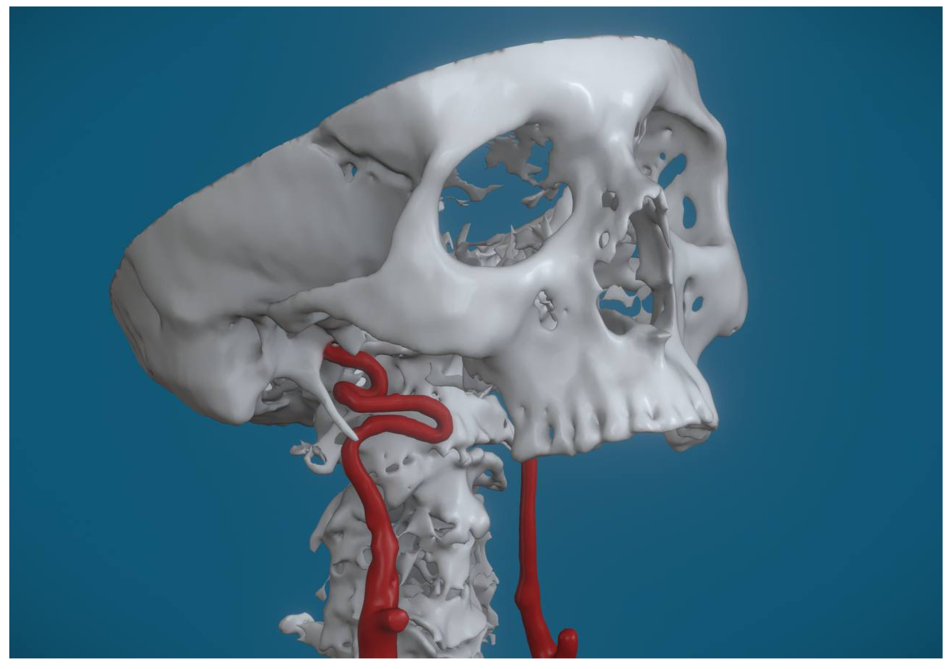 Applsci 15 13085 g004