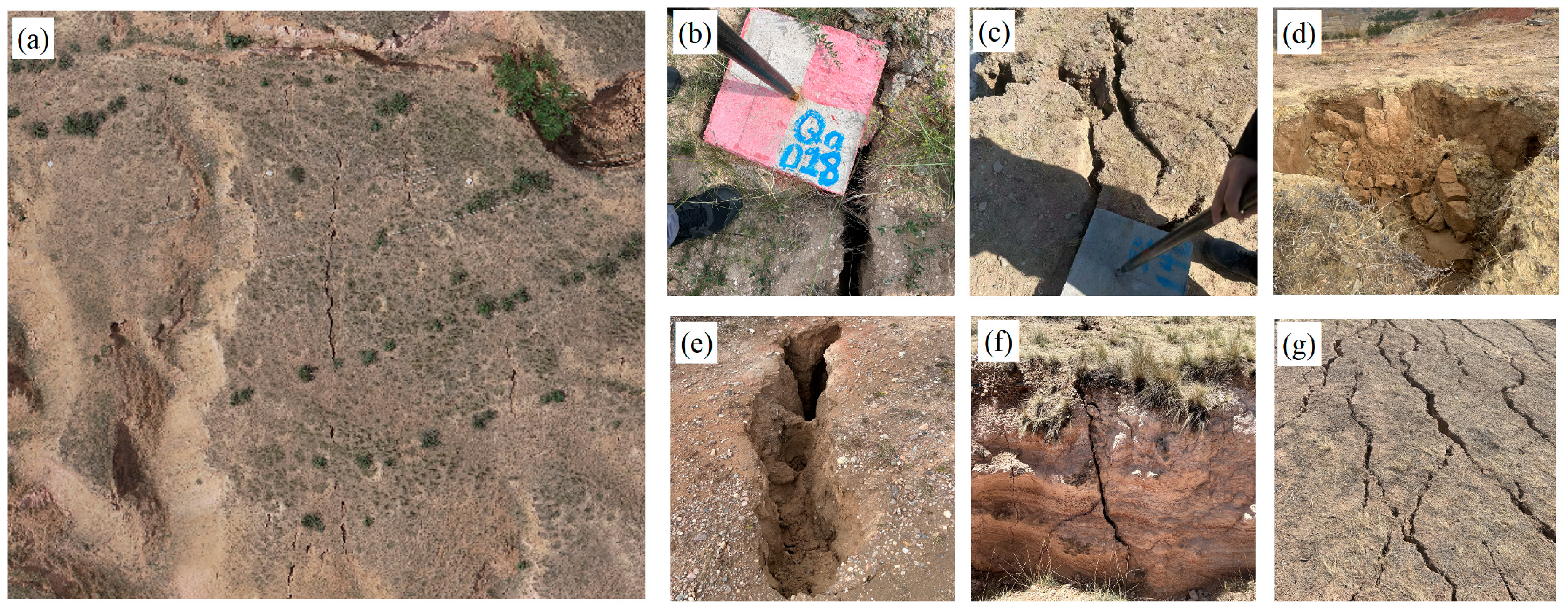 Applsci 15 13086 g012 Applsci 15 13086 g012