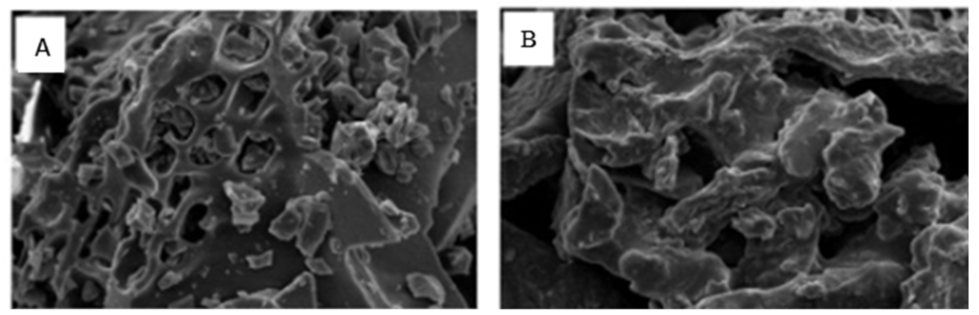 Applsci 15 13094 g009 Applsci 15 13094 g009