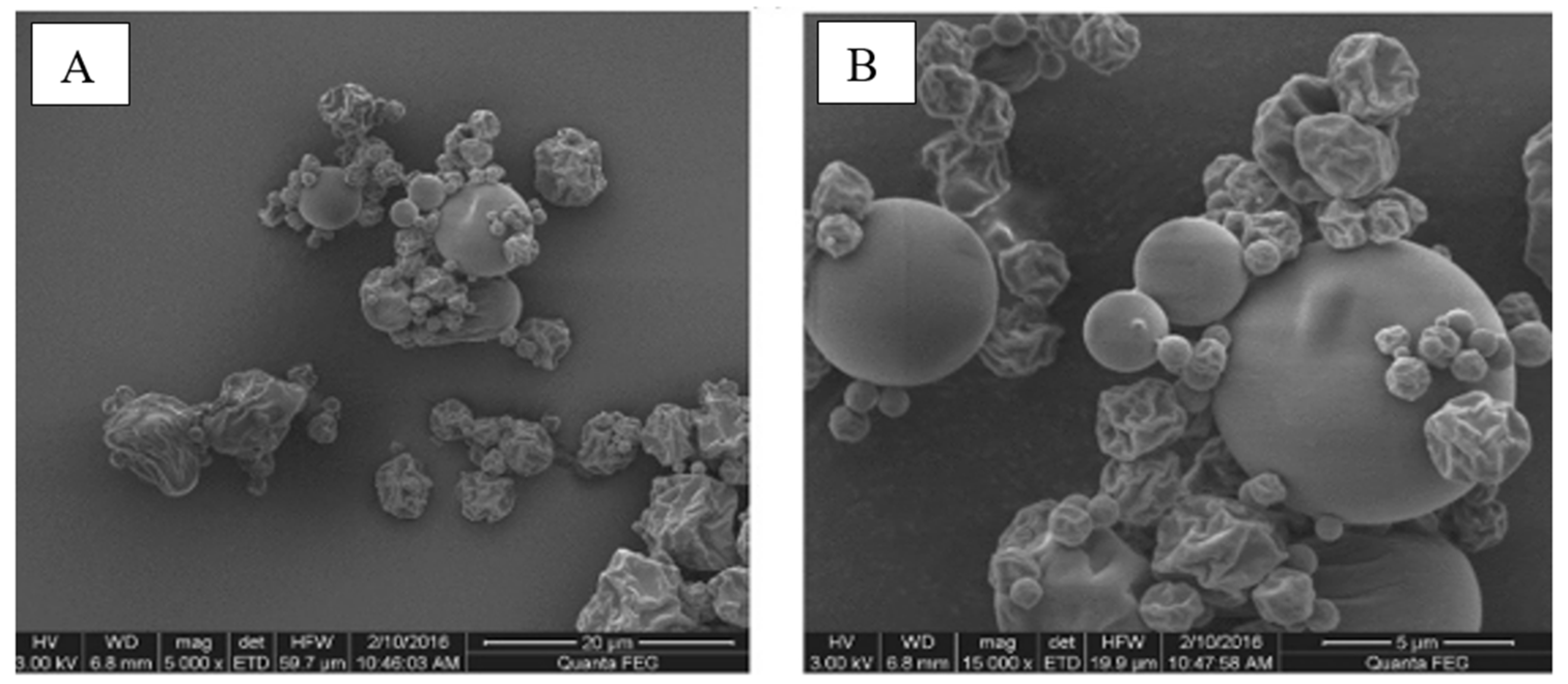 Applsci 15 13094 g010 Applsci 15 13094 g010