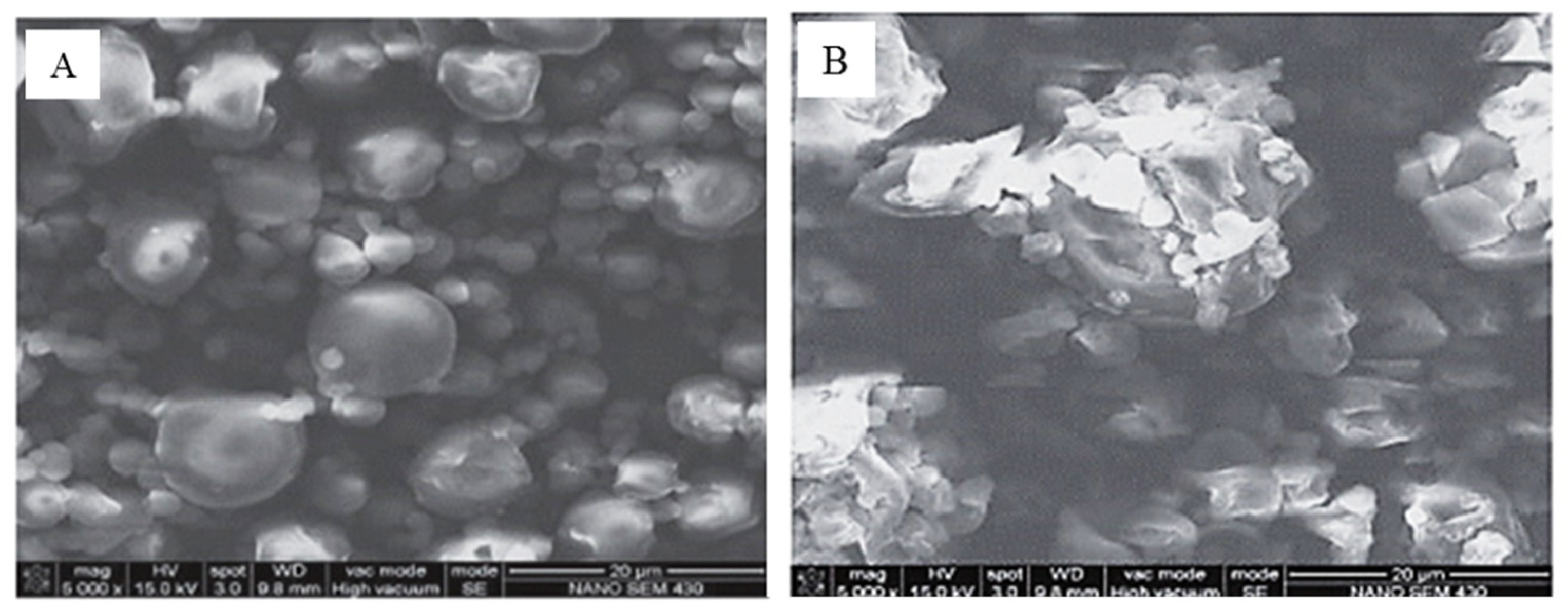 Applsci 15 13094 g011 Applsci 15 13094 g011