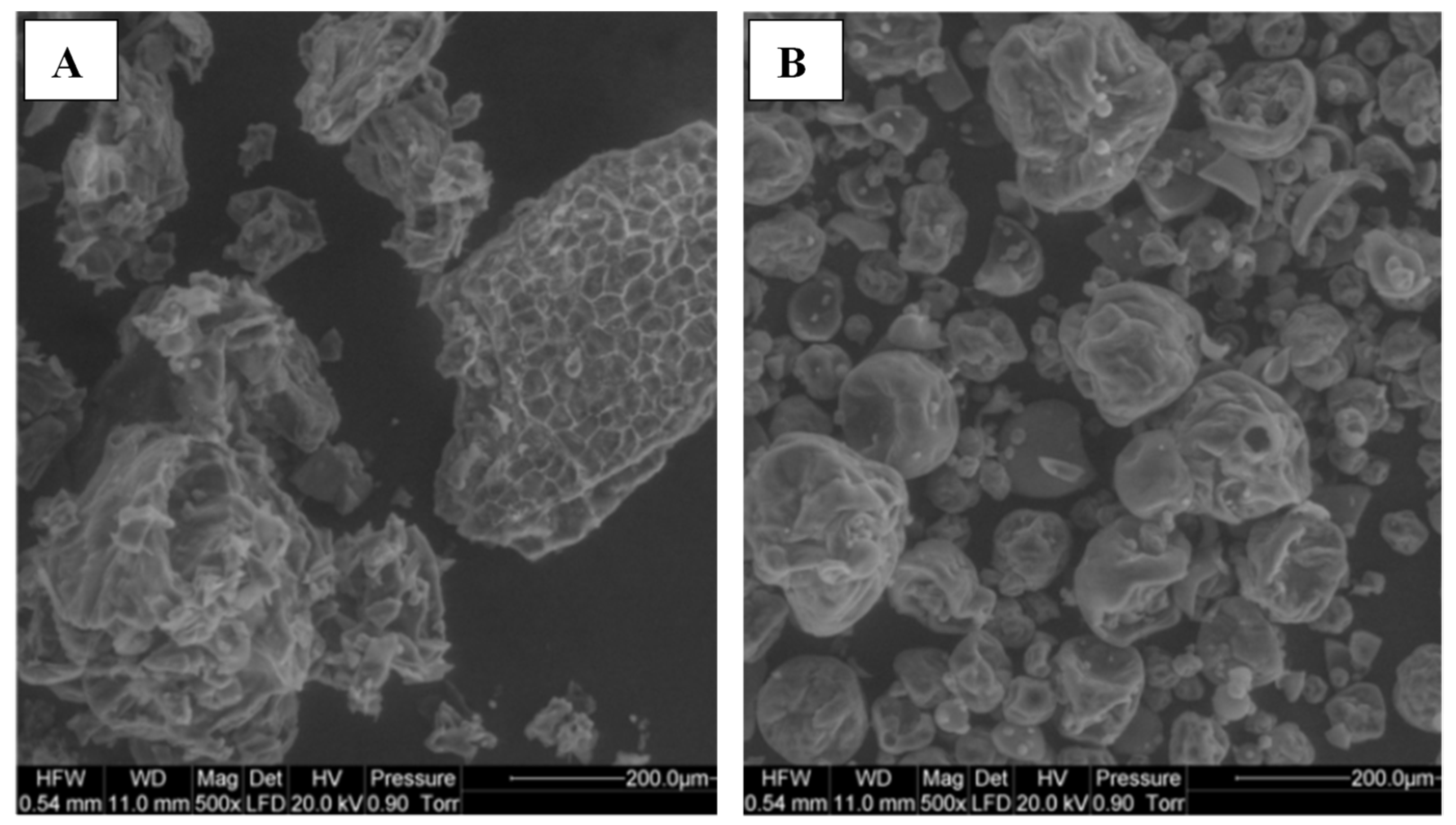 Applsci 15 13094 g012 Applsci 15 13094 g012