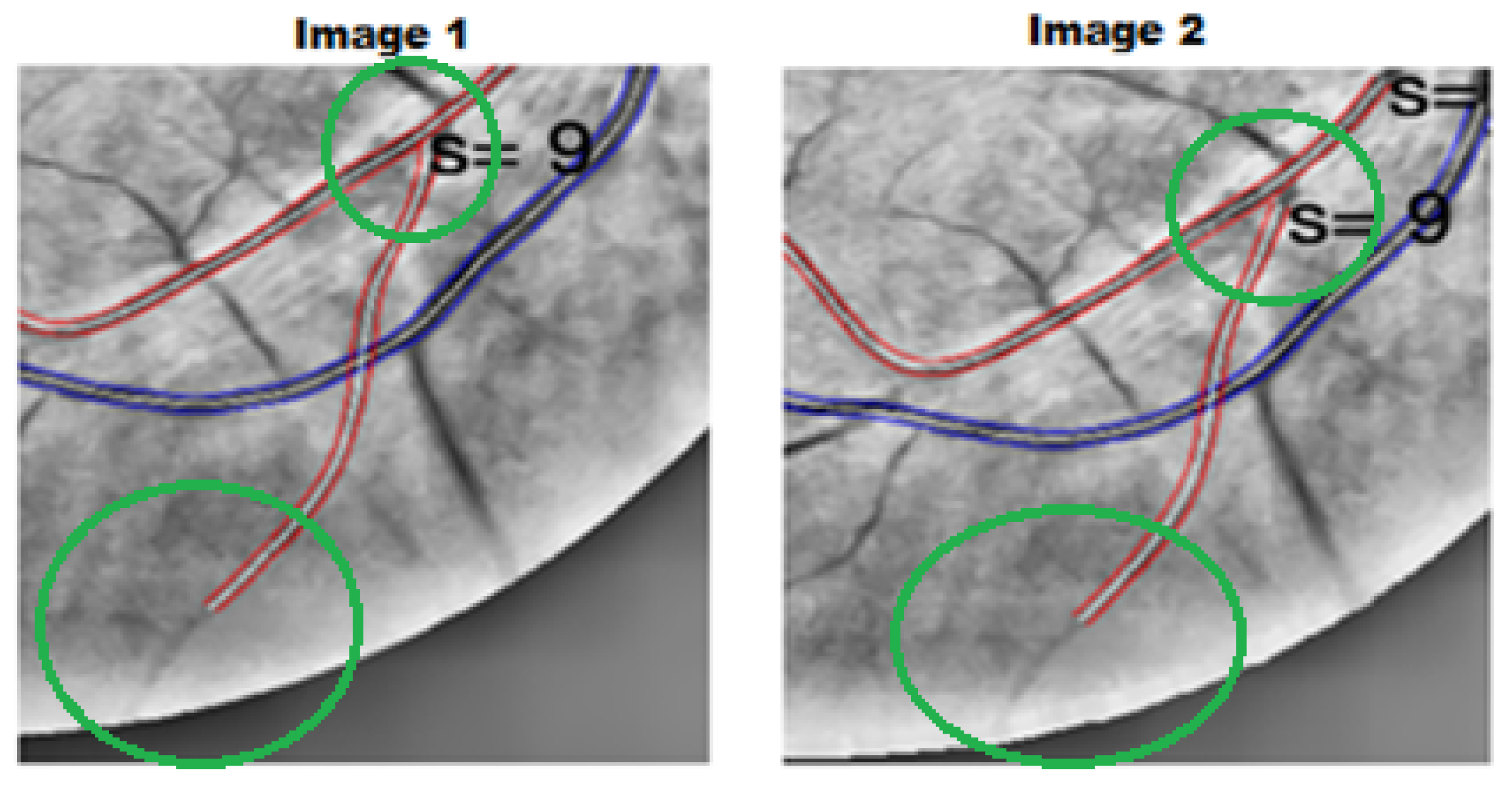 Applsci 15 13136 g005 Applsci 15 13136 g005