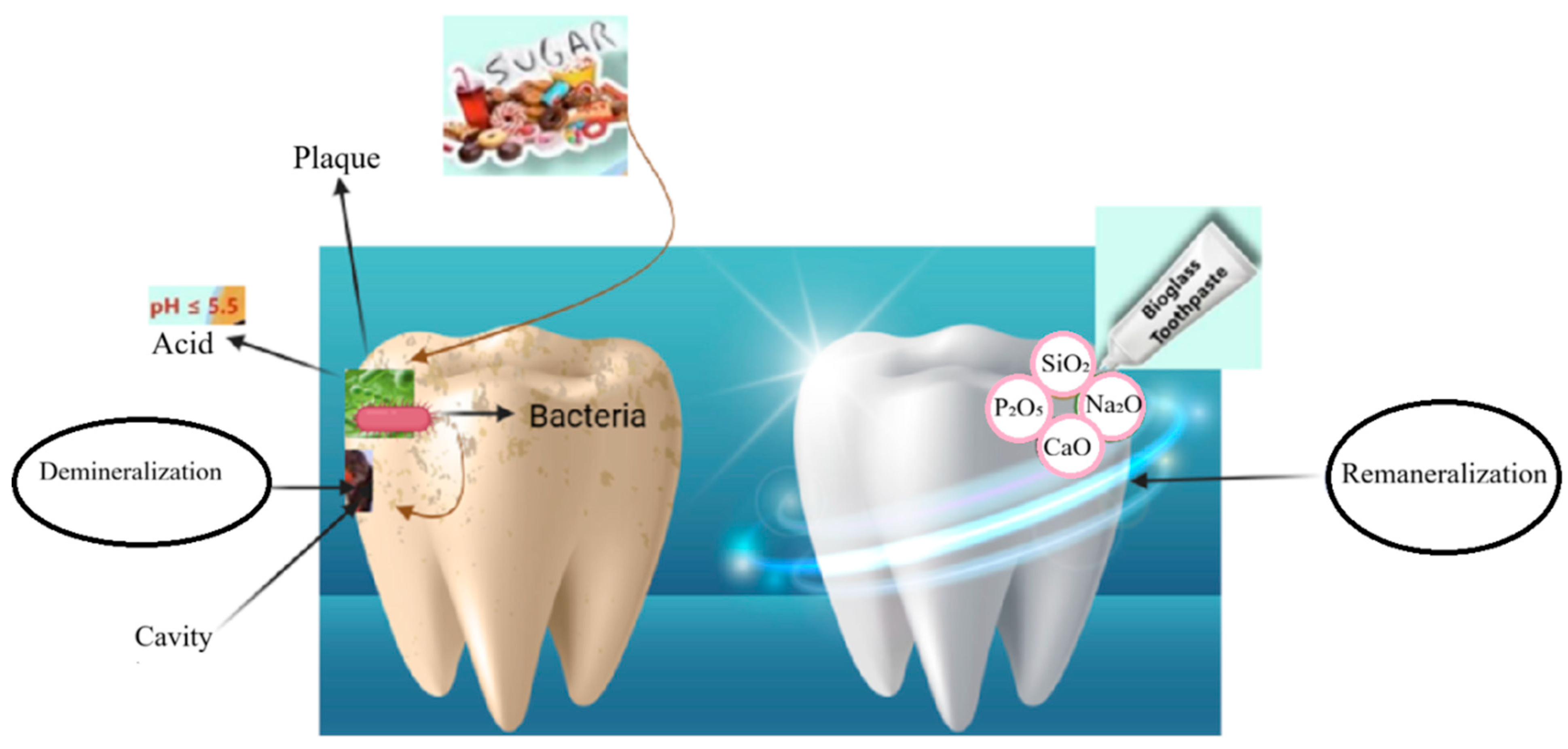 Applsci 15 13157 g001 Applsci 15 13157 g001