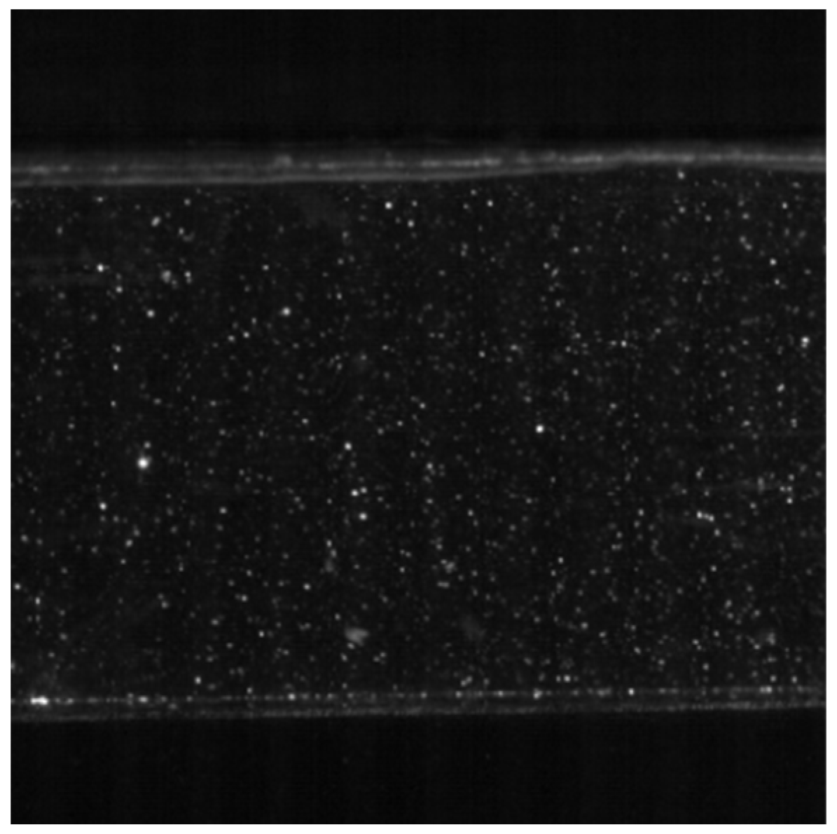 Applsci 15 13161 g005 Applsci 15 13161 g005