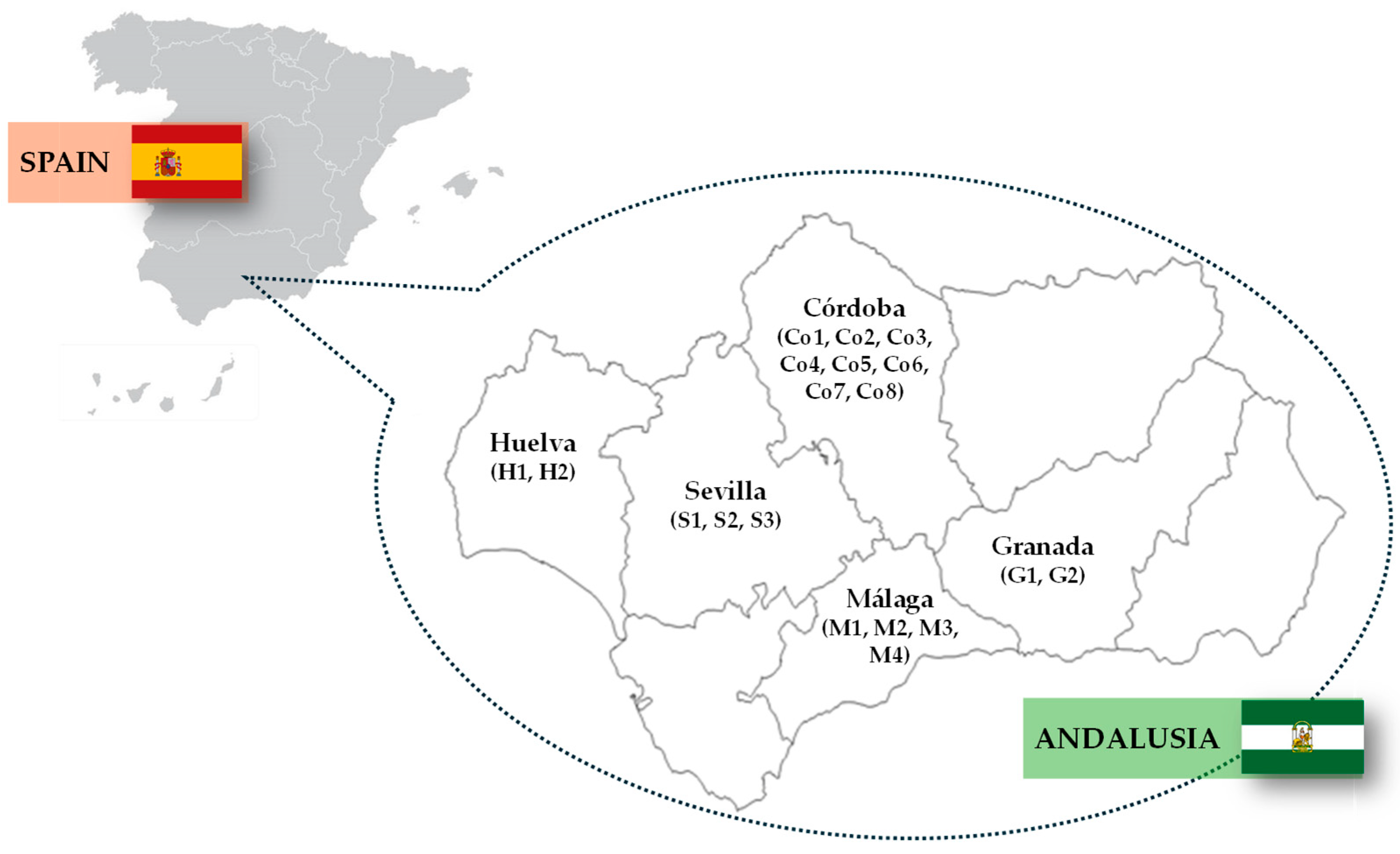 Applsci 15 13175 g001