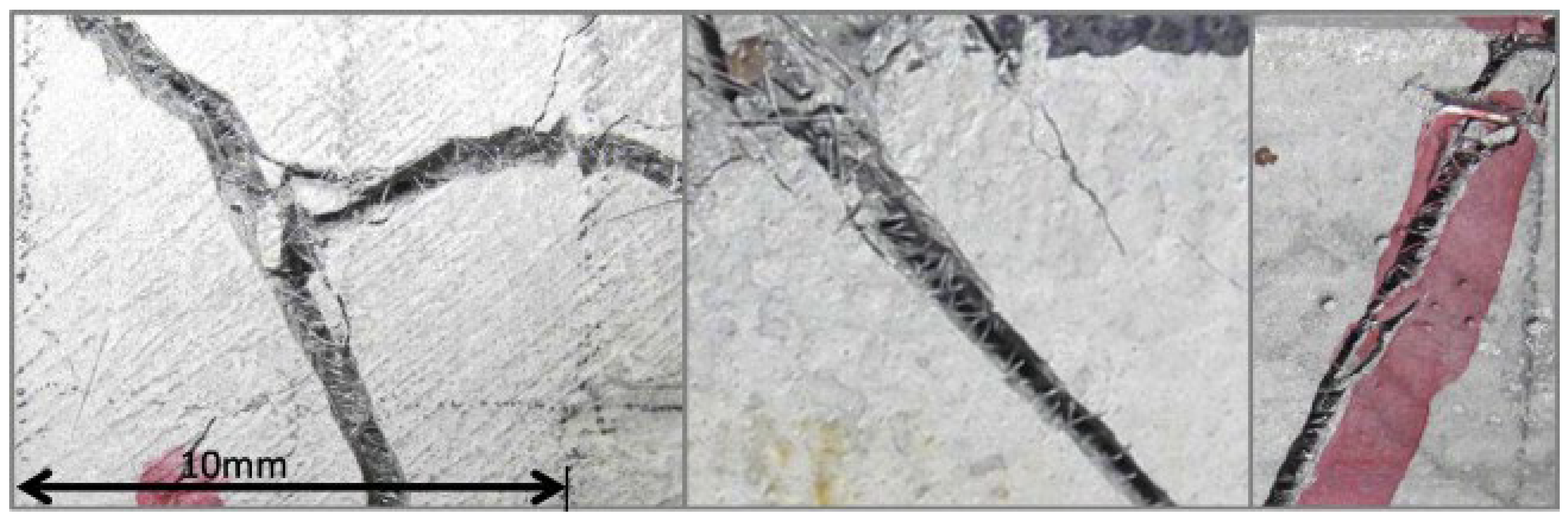 Applsci 15 13186 g001 Applsci 15 13186 g001