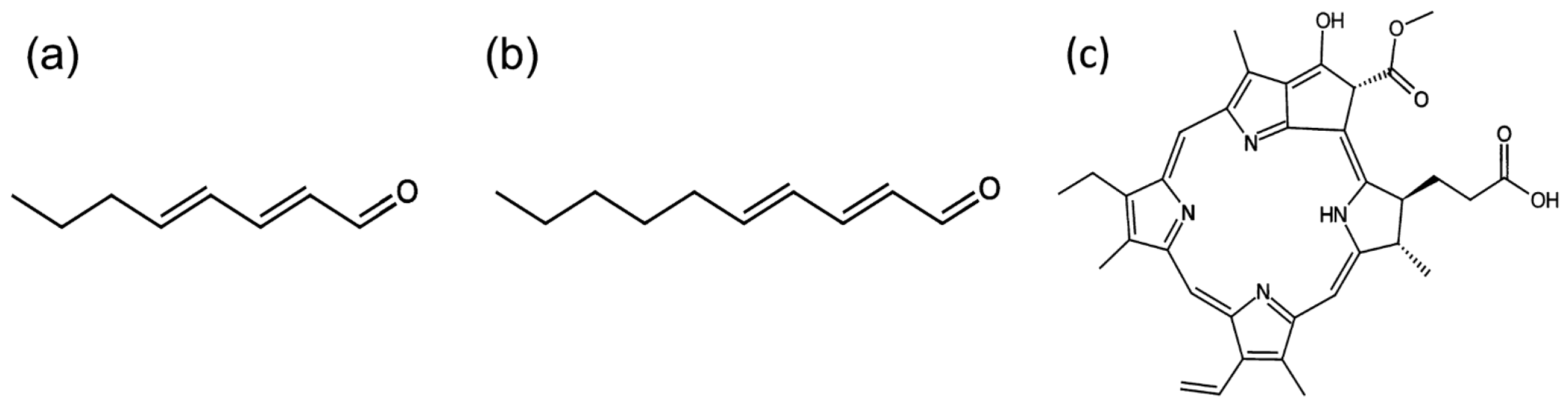 Applsci 15 13221 g001