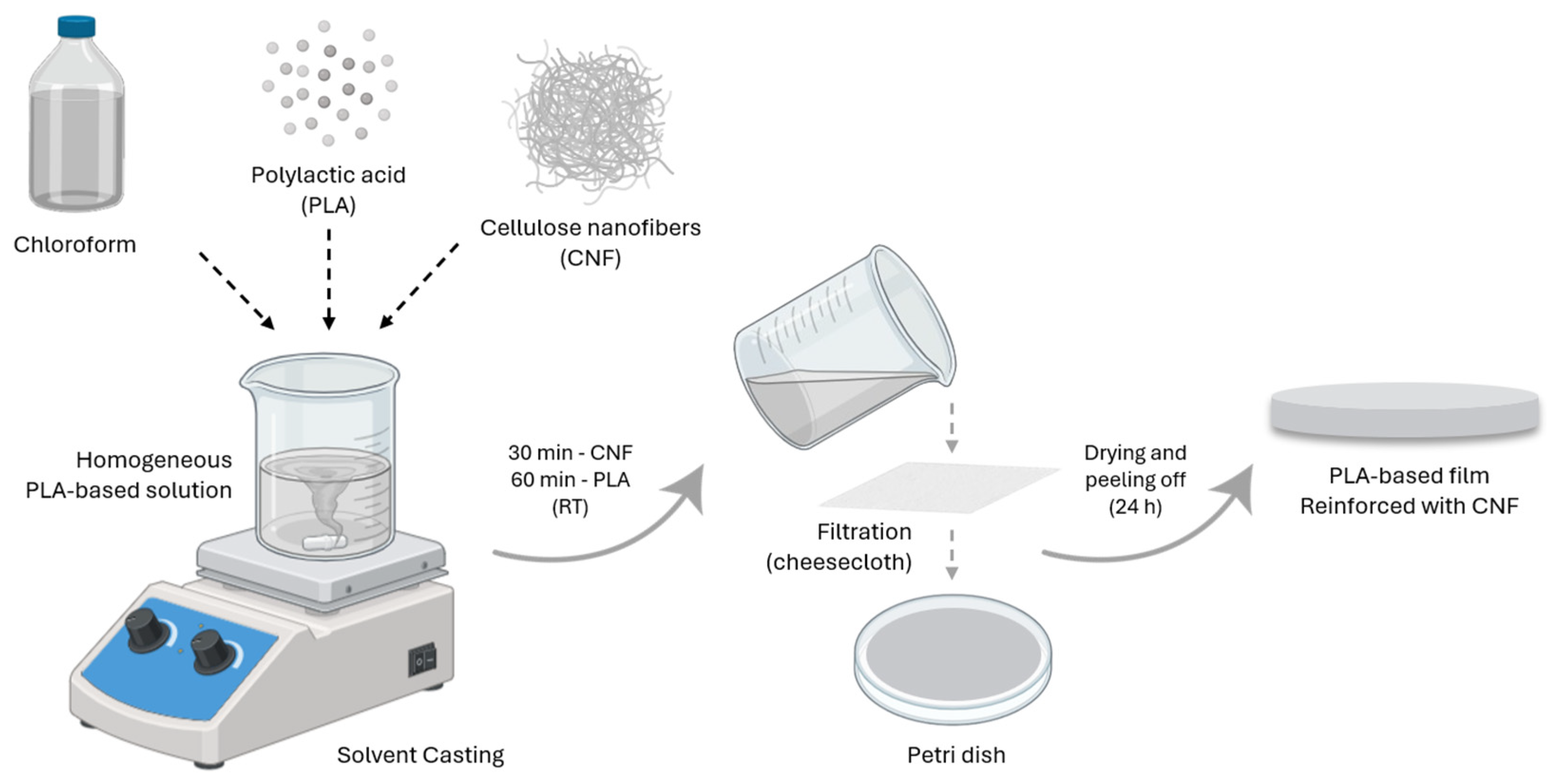 Applsci 15 13247 g001 Applsci 15 13247 g001