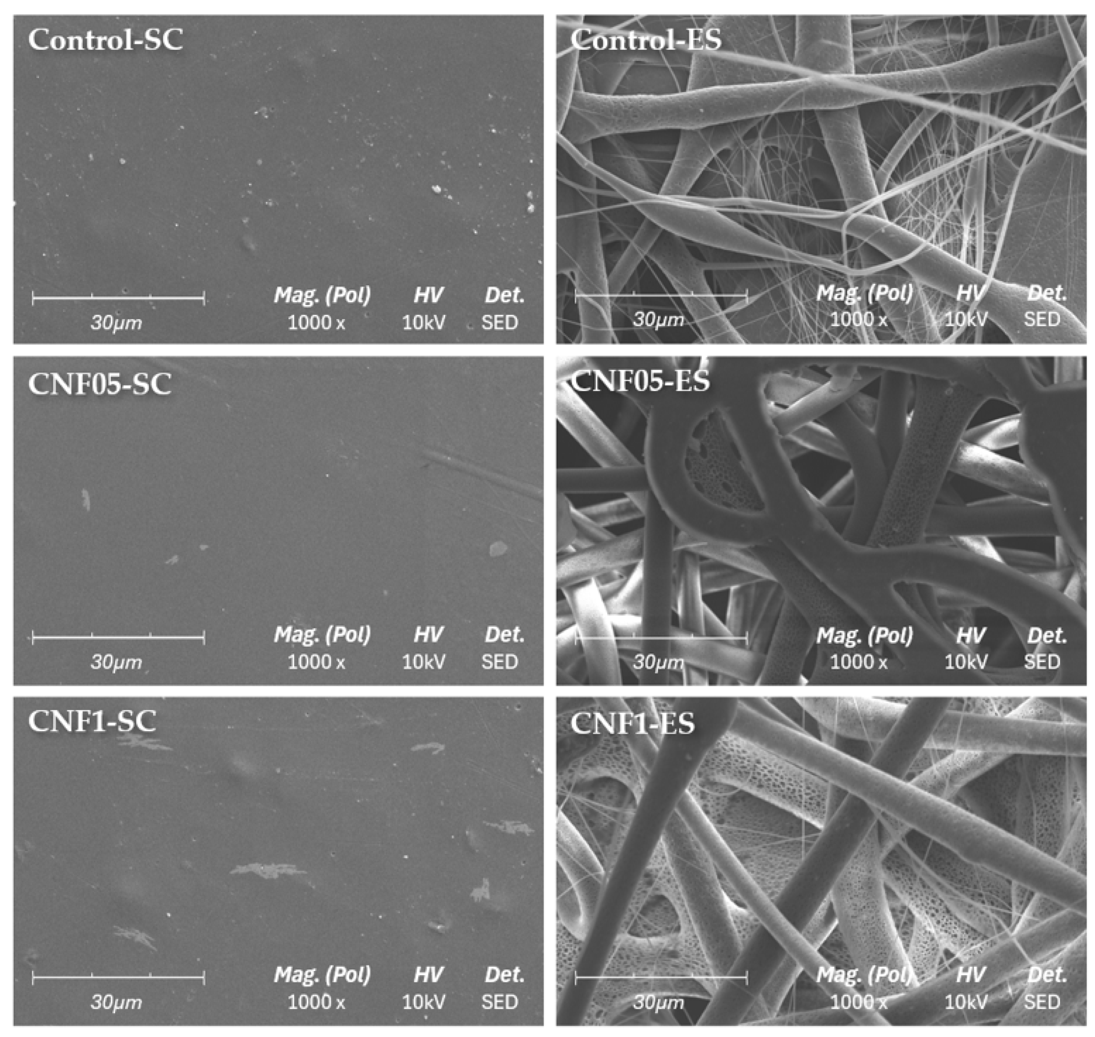 Applsci 15 13247 g005 Applsci 15 13247 g005