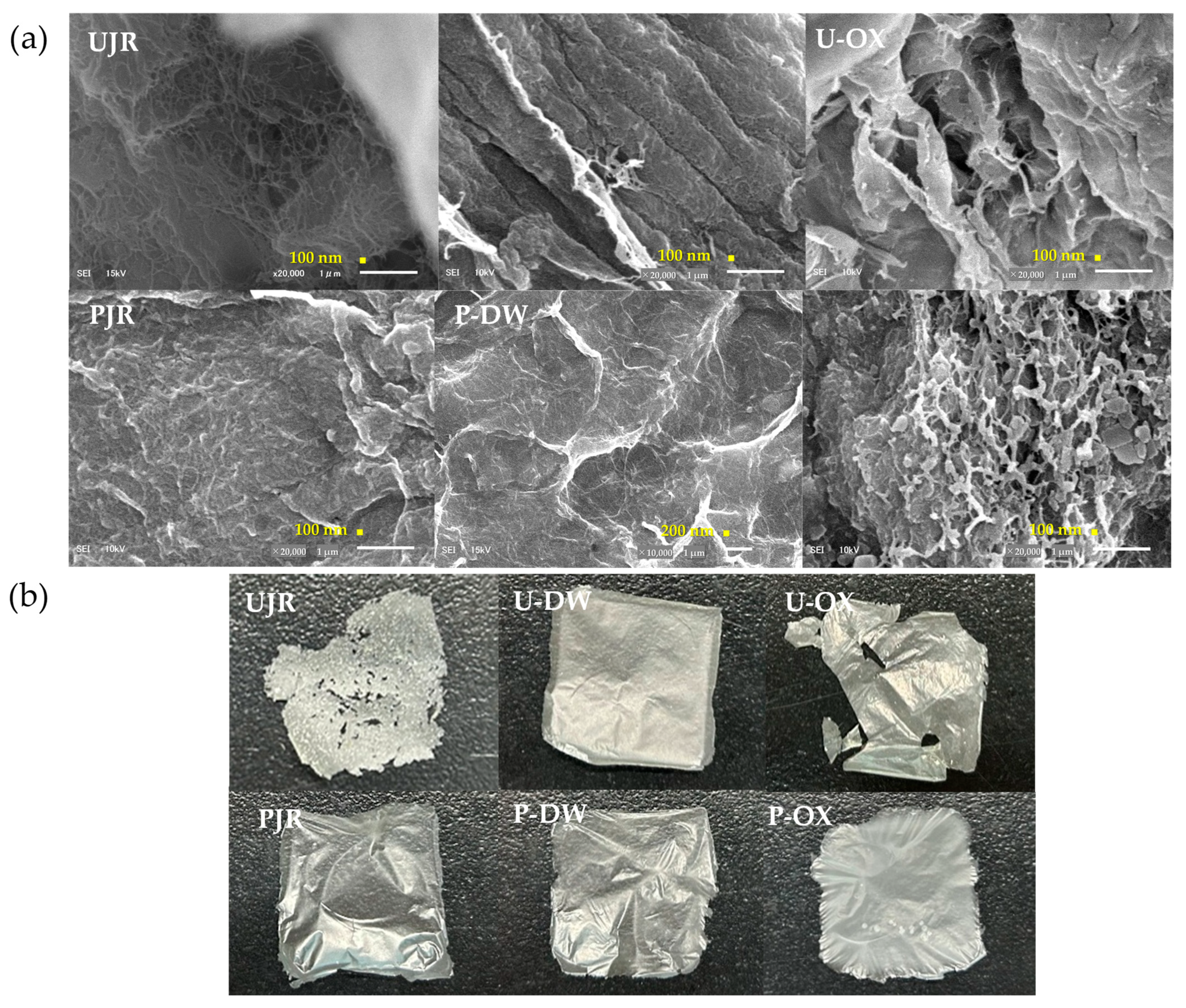 Applsci 15 13280 g003