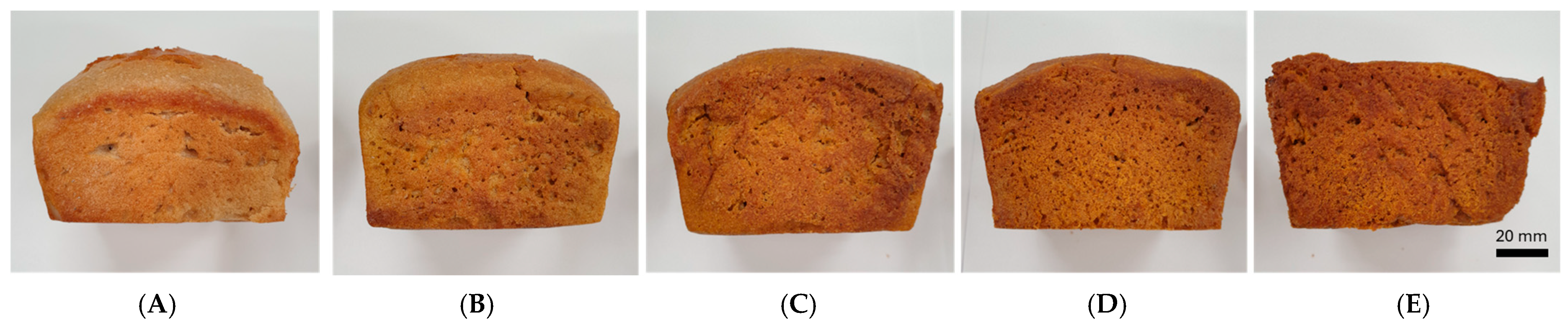 Applsci 16 00015 g002