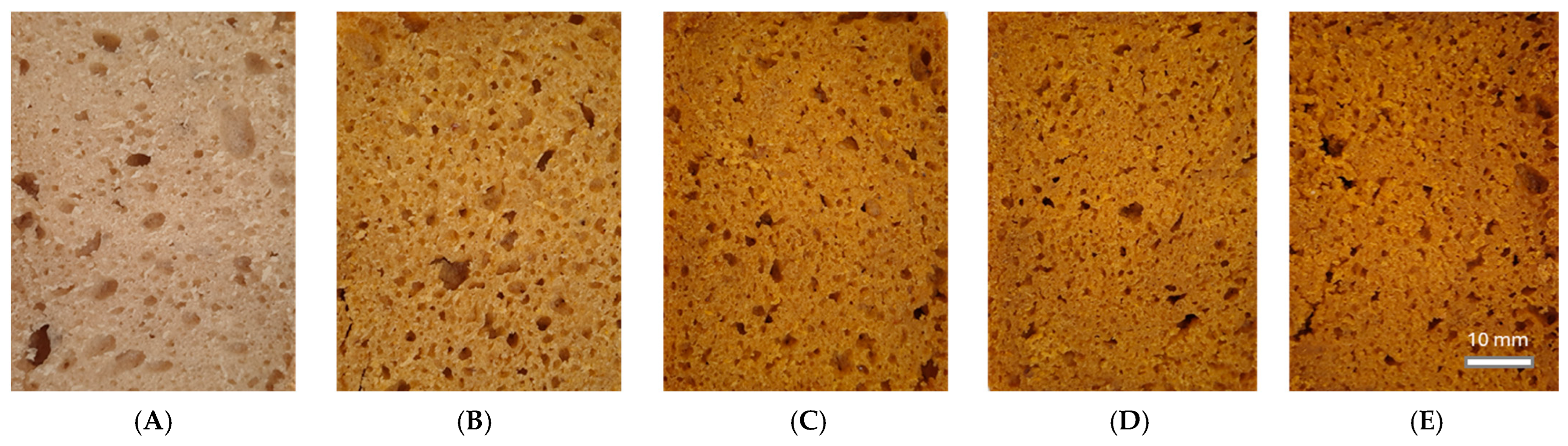 Applsci 16 00015 g003