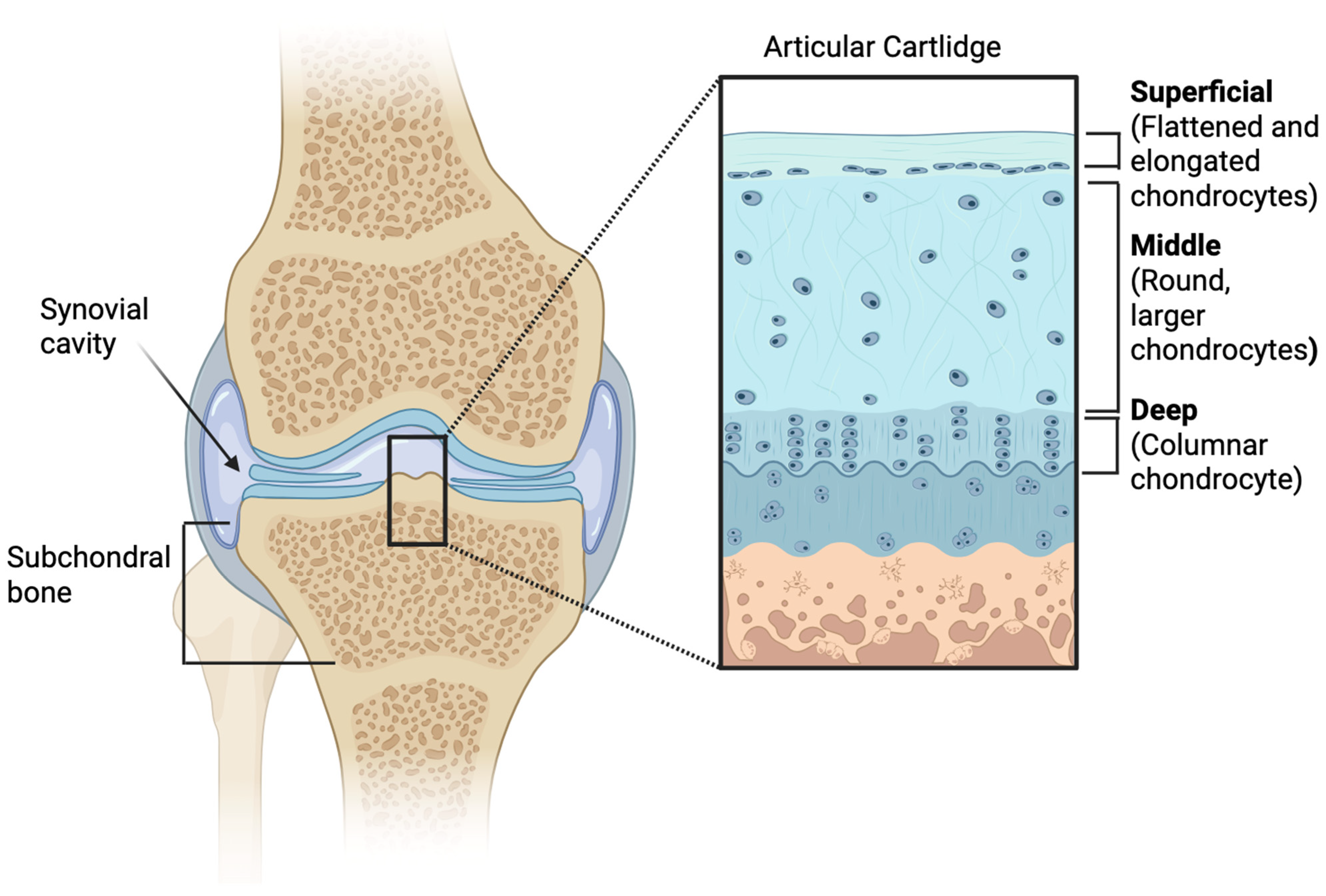 Applsci 16 00050 g001