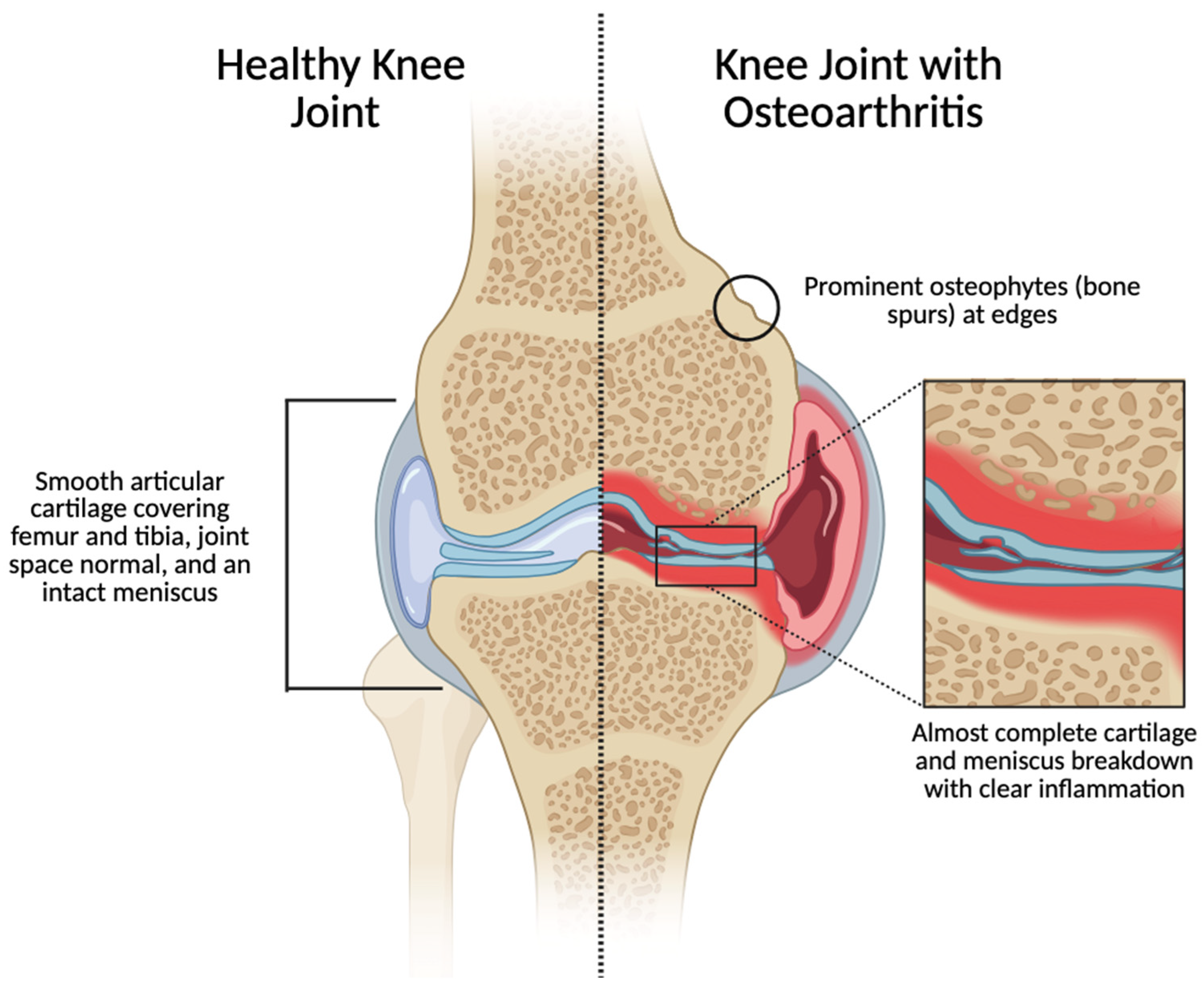 Applsci 16 00050 g002