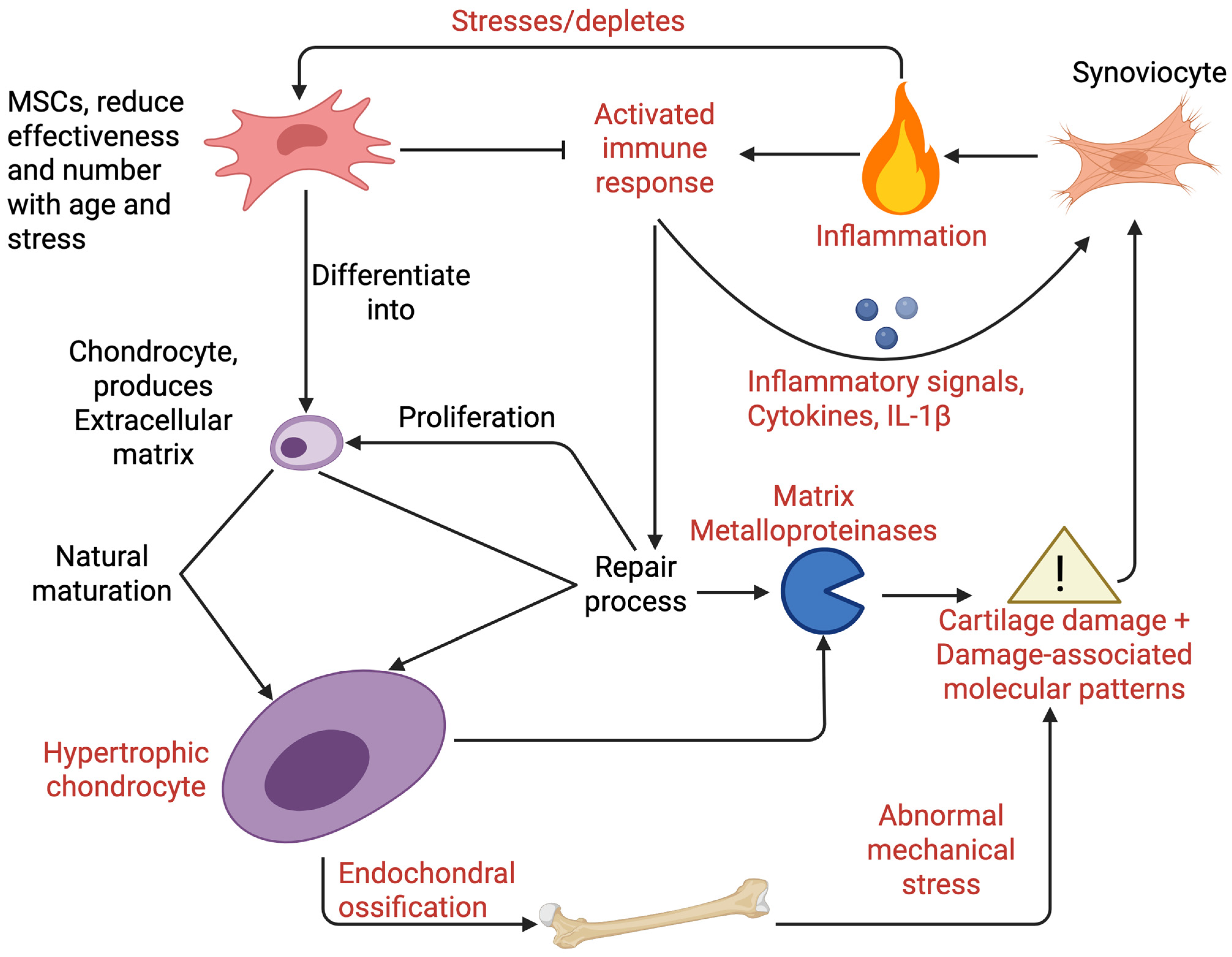 Applsci 16 00050 g003