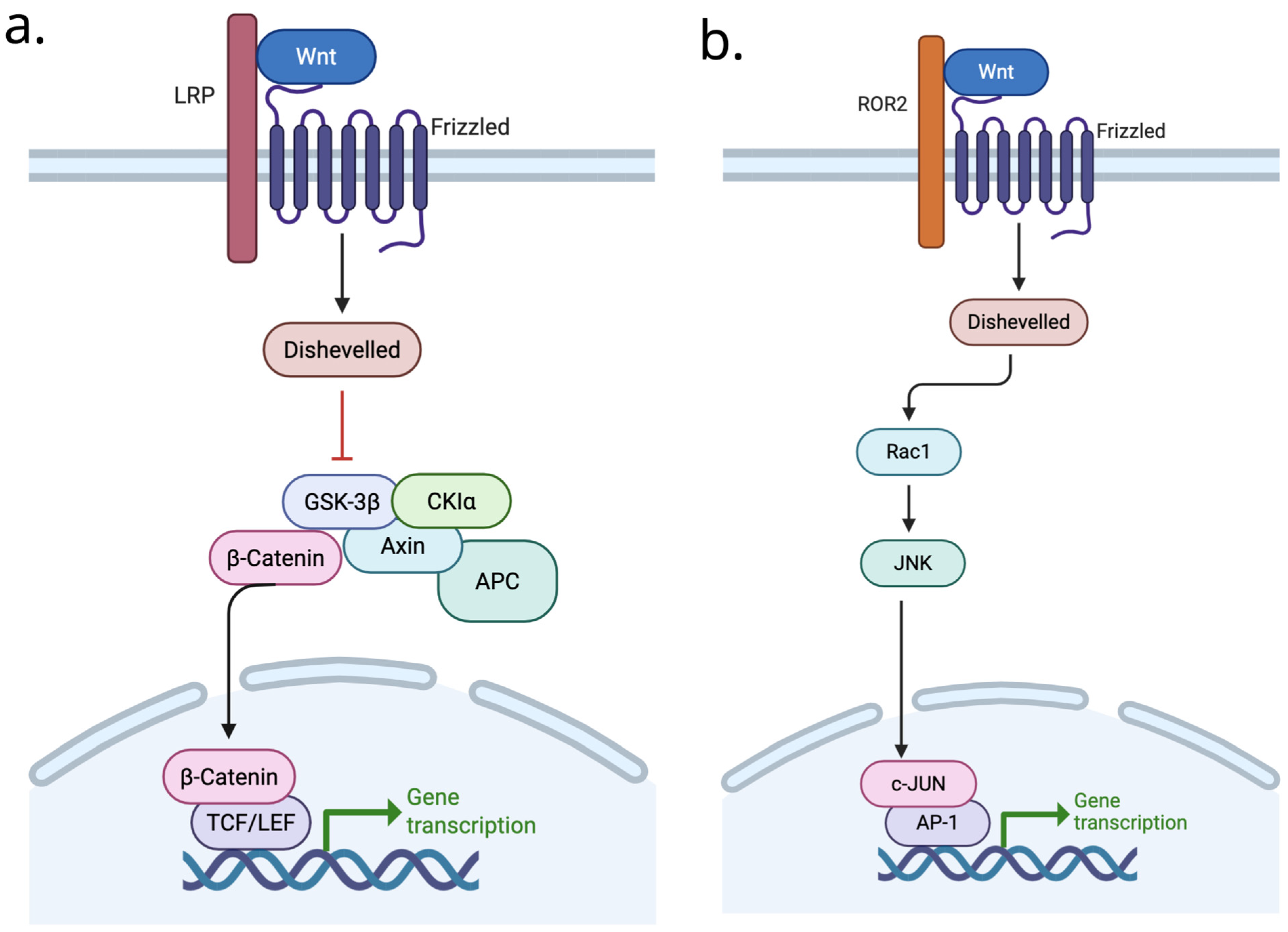 Applsci 16 00050 g004