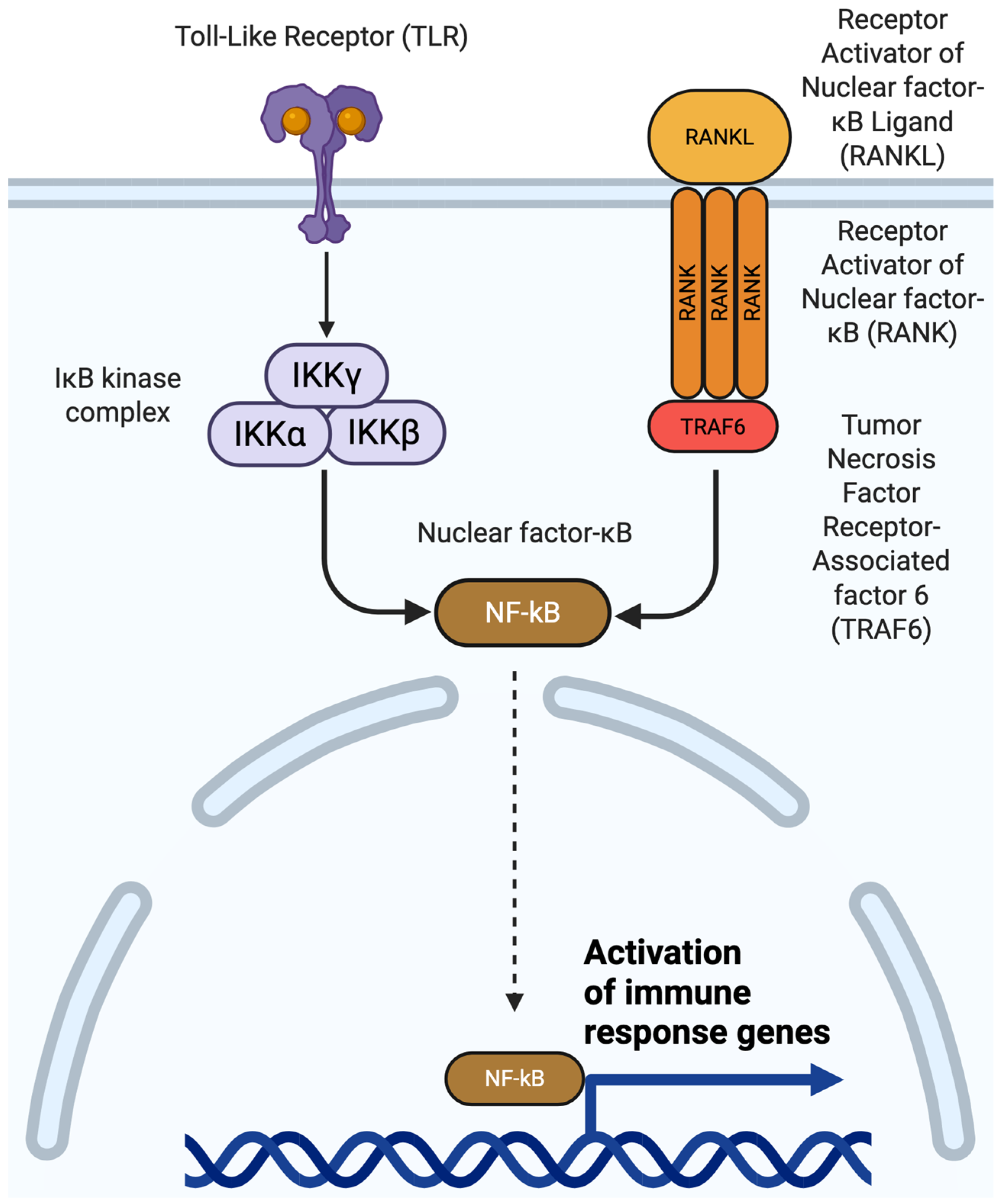 Applsci 16 00050 g005