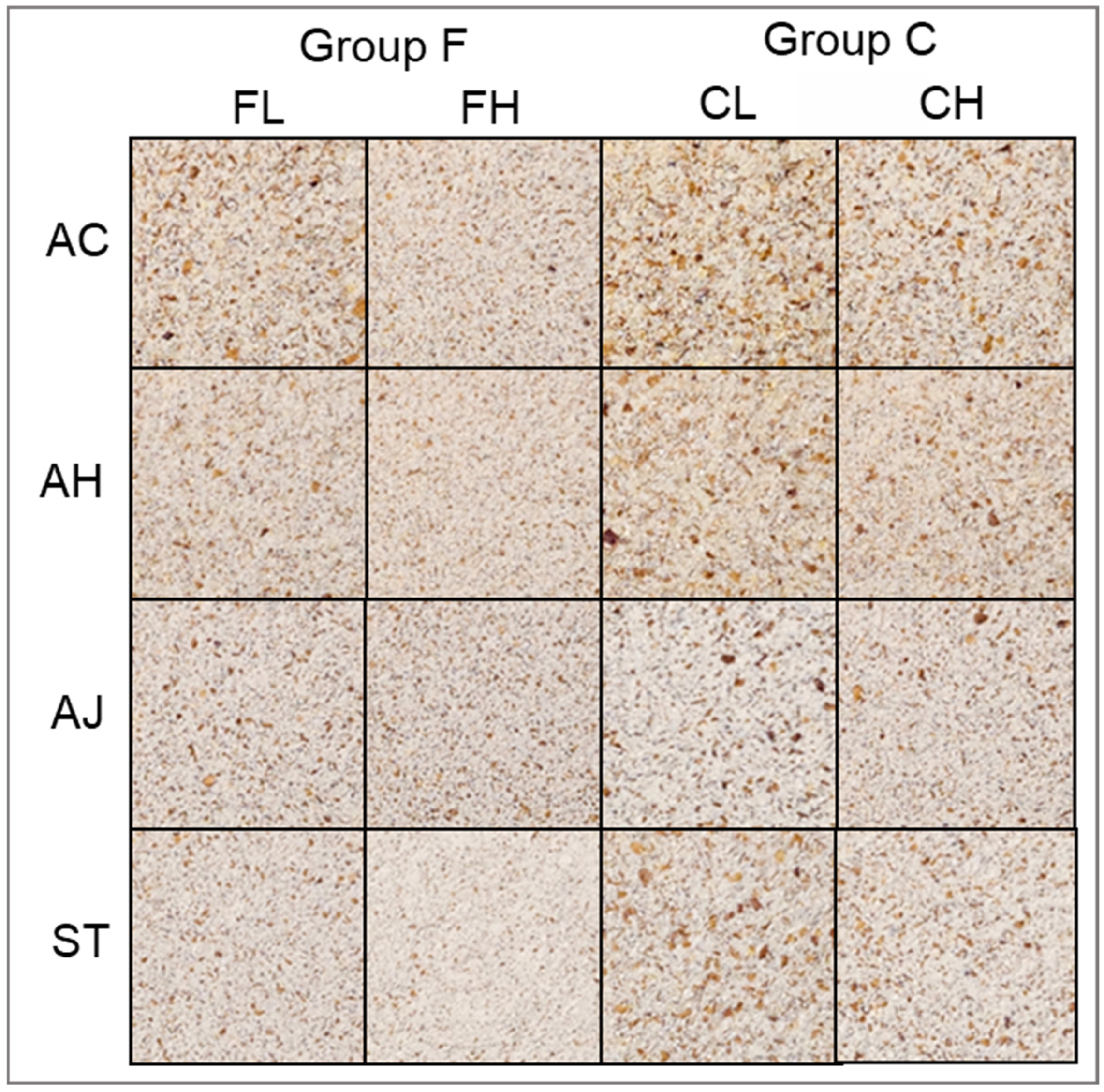 Applsci 16 00056 g001