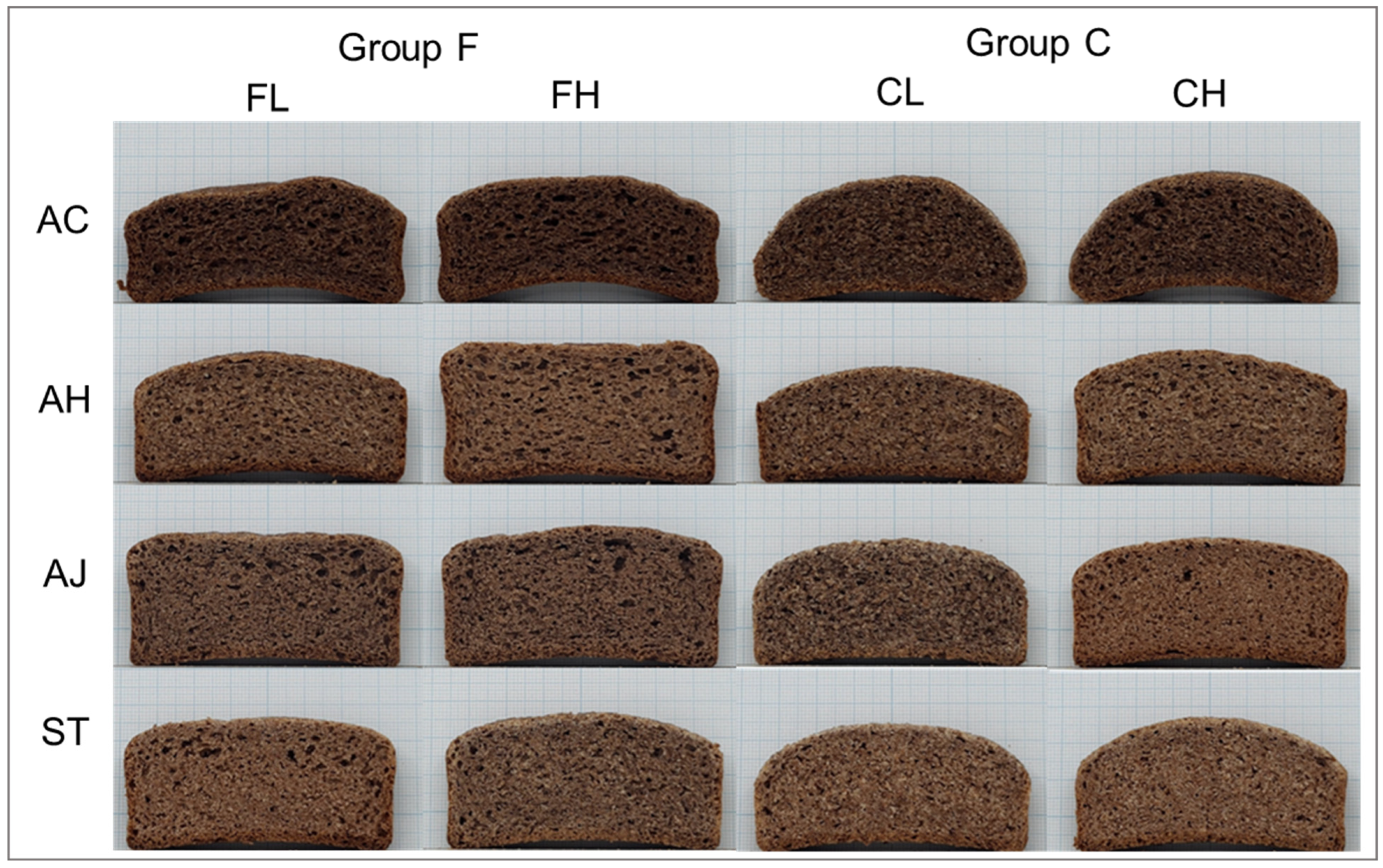 Applsci 16 00056 g004
