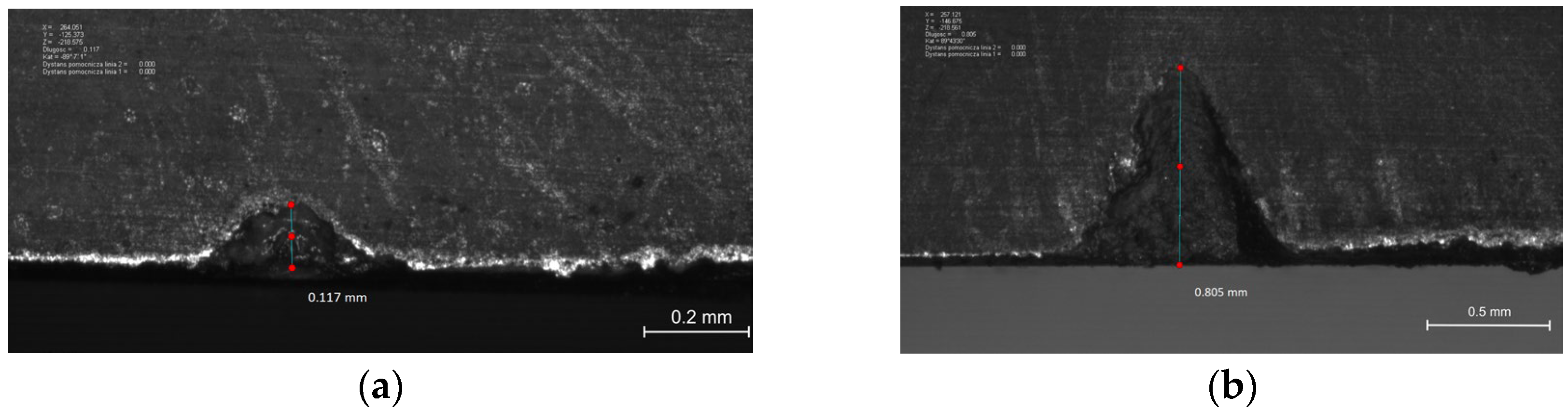 Applsci 16 00062 g011