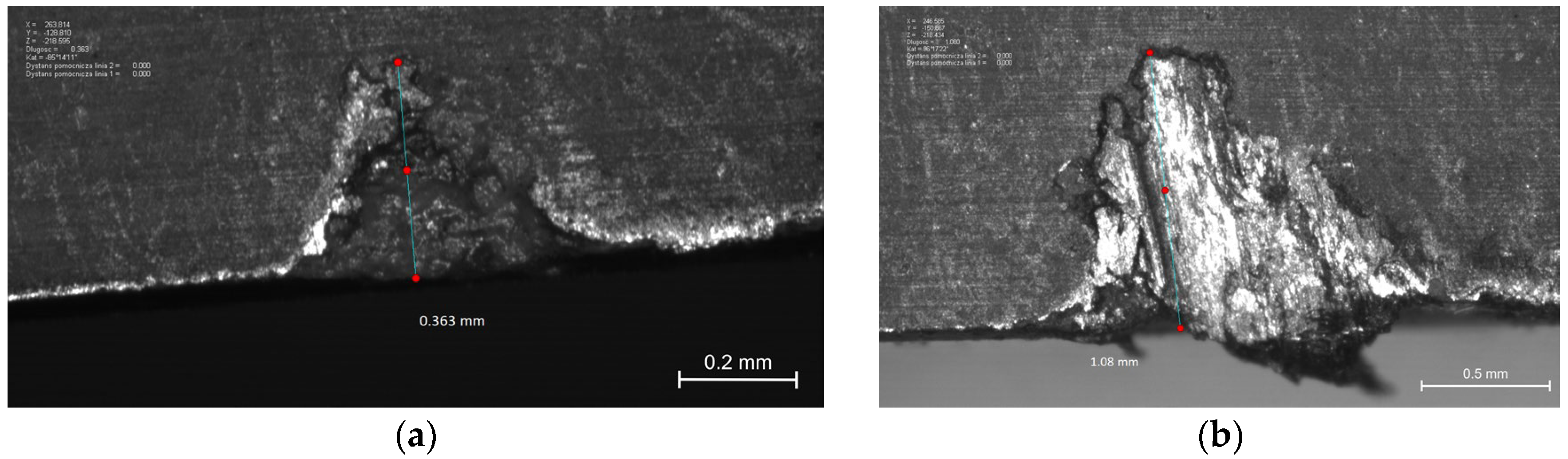 Applsci 16 00062 g012