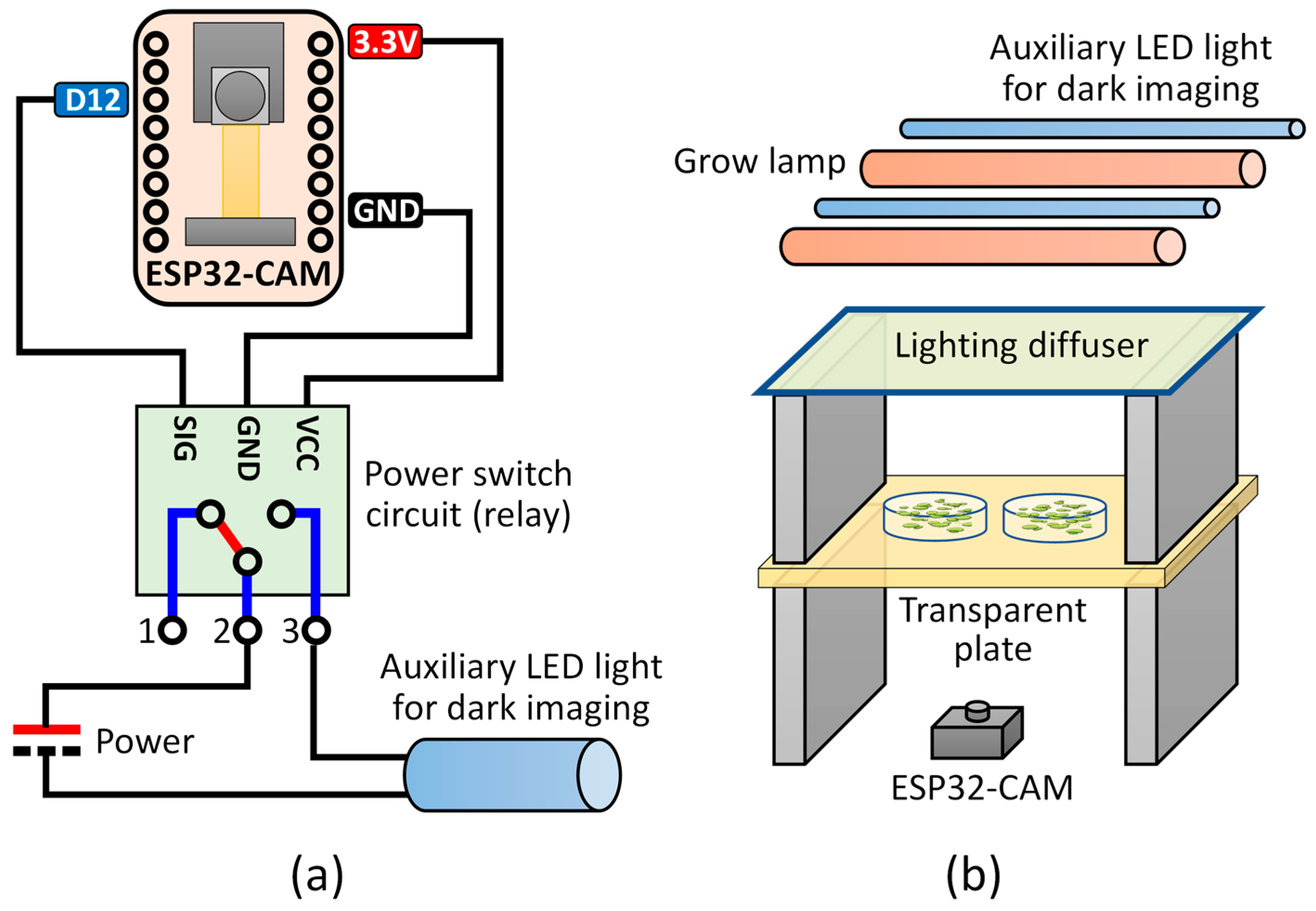 Applsci 16 00066 g002