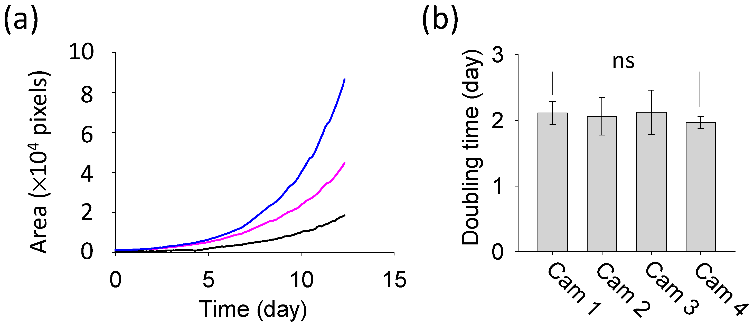 Applsci 16 00066 g008