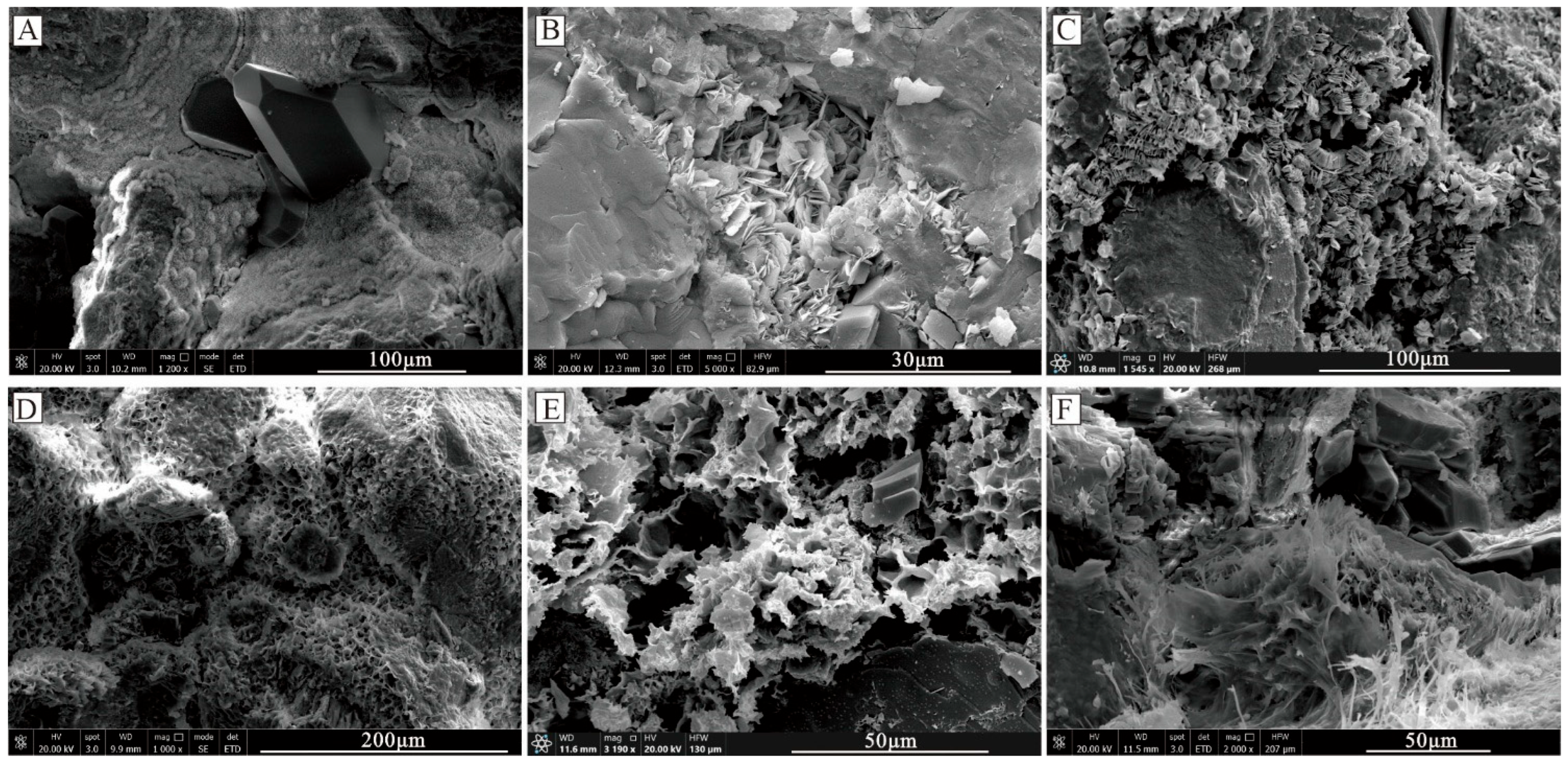 Applsci 16 00096 g009