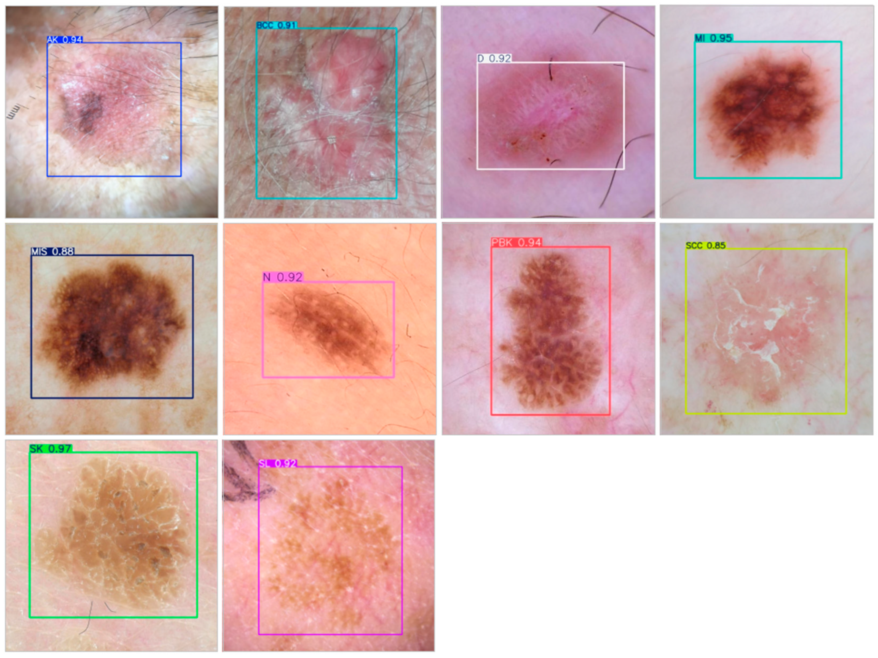 Applsci 16 00099 g011