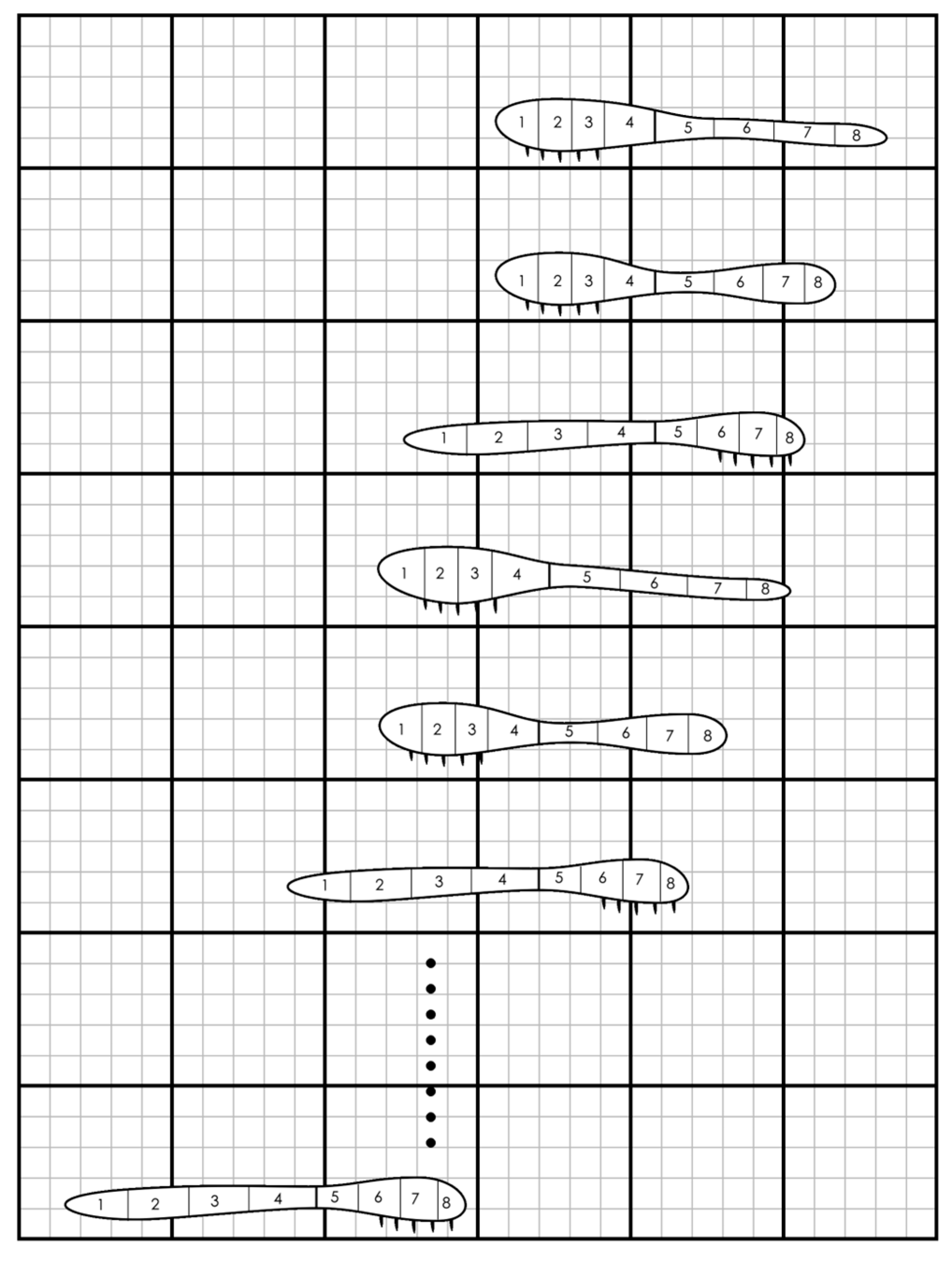 Applsci 16 00115 g001