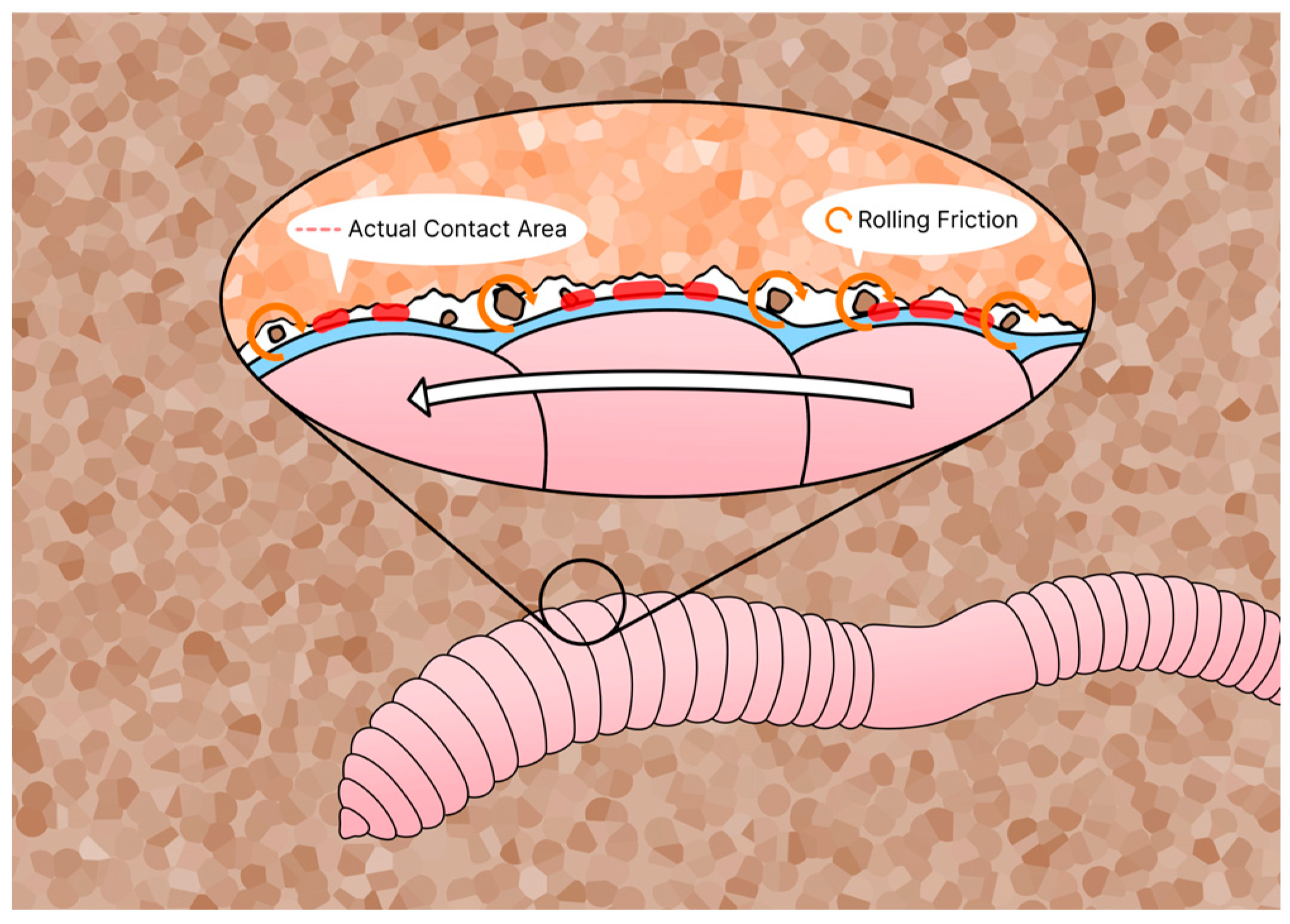 Applsci 16 00115 g002