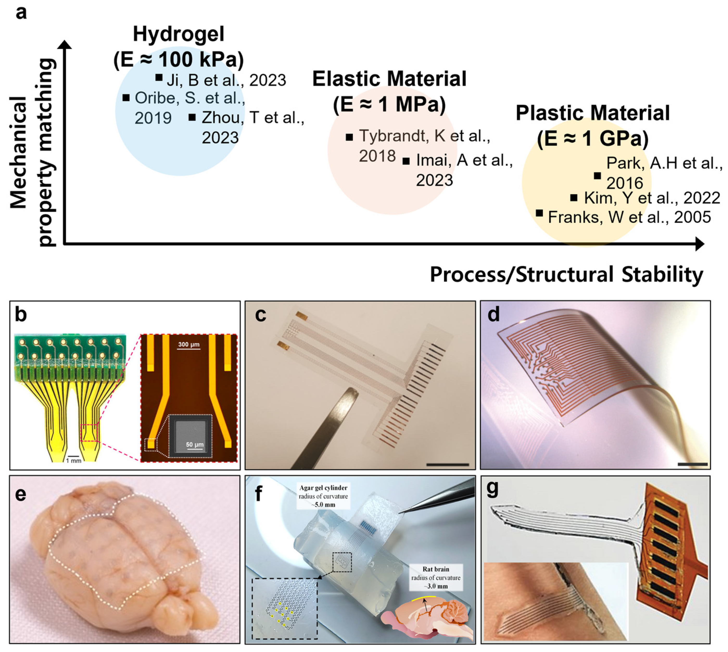 Circuit 50 ラージサイズ 96マット Flexible Micro-Neural Interface Devices: Advances in Materials