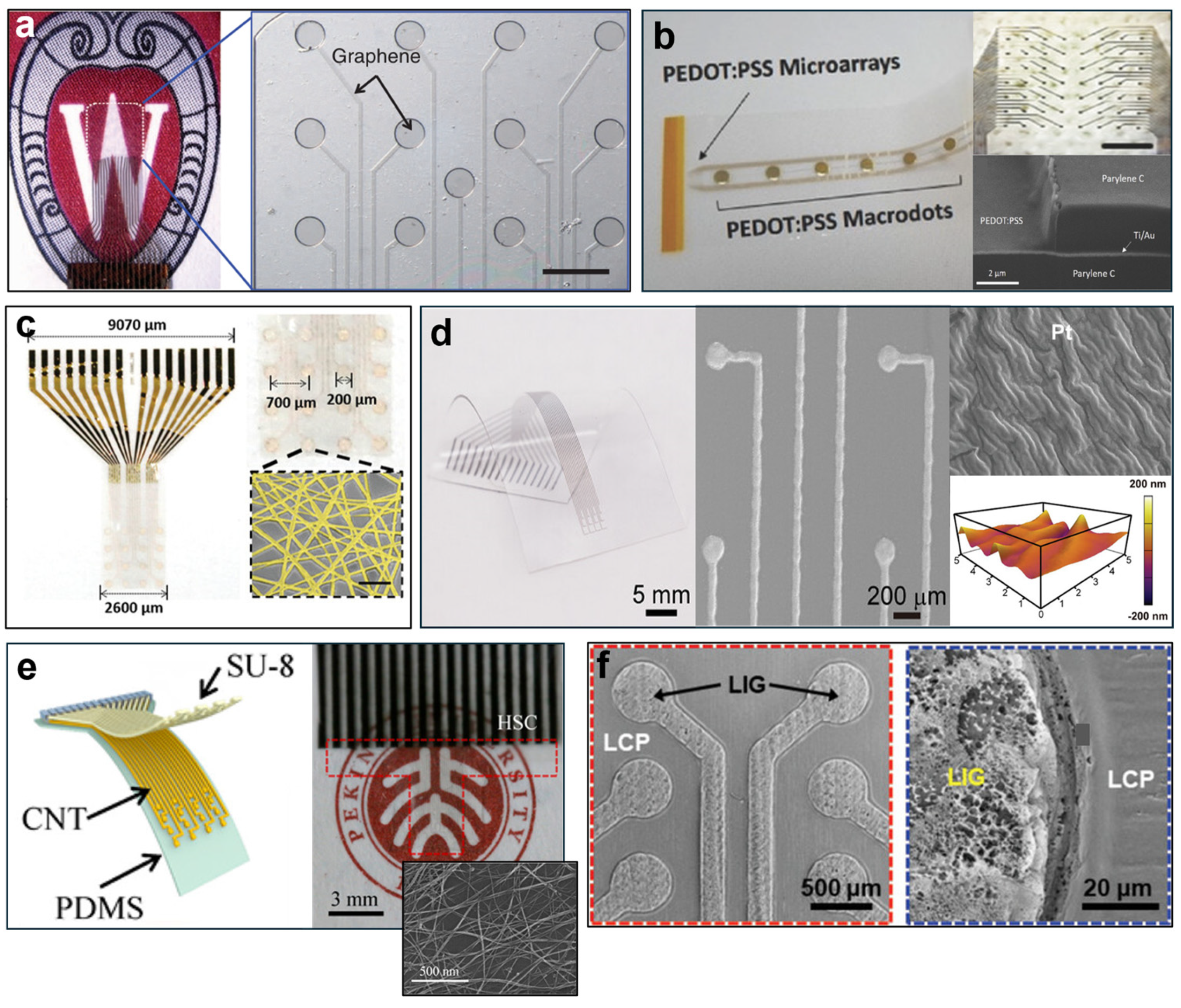 Flexible Micro-Neural Interface Devices: Advances in Materials