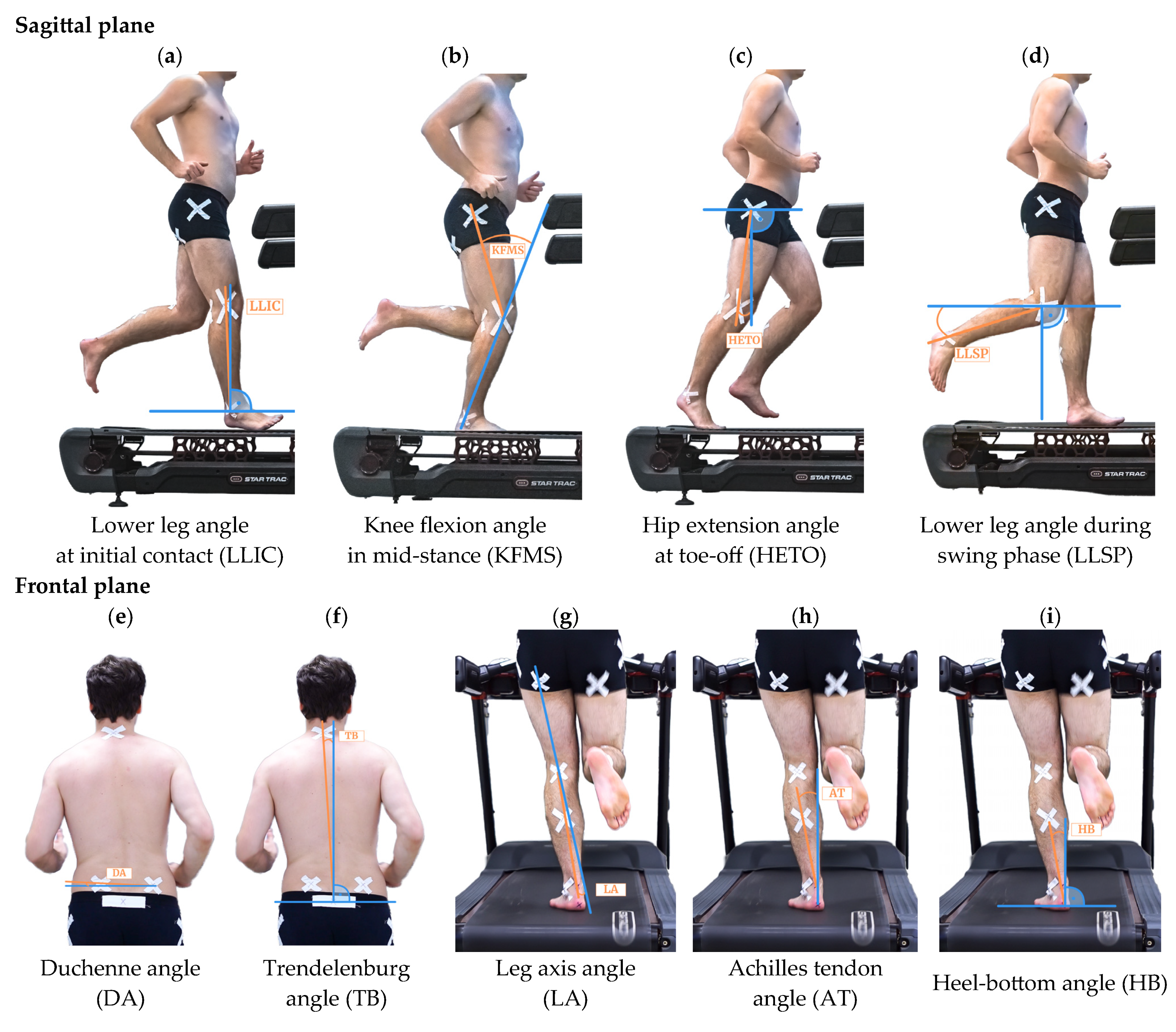 Applsci 16 00133 g001