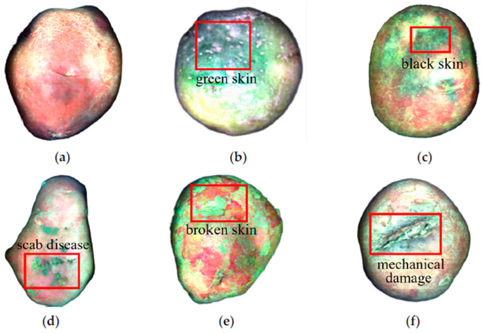Applsci 16 00190 g003