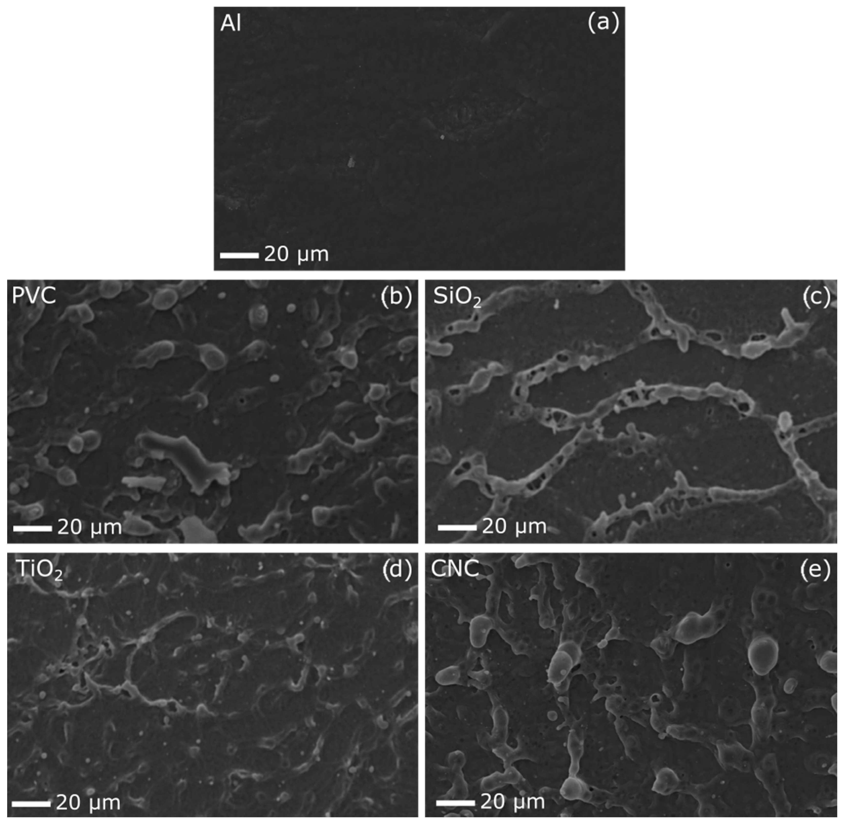 Applsci 16 00224 g006