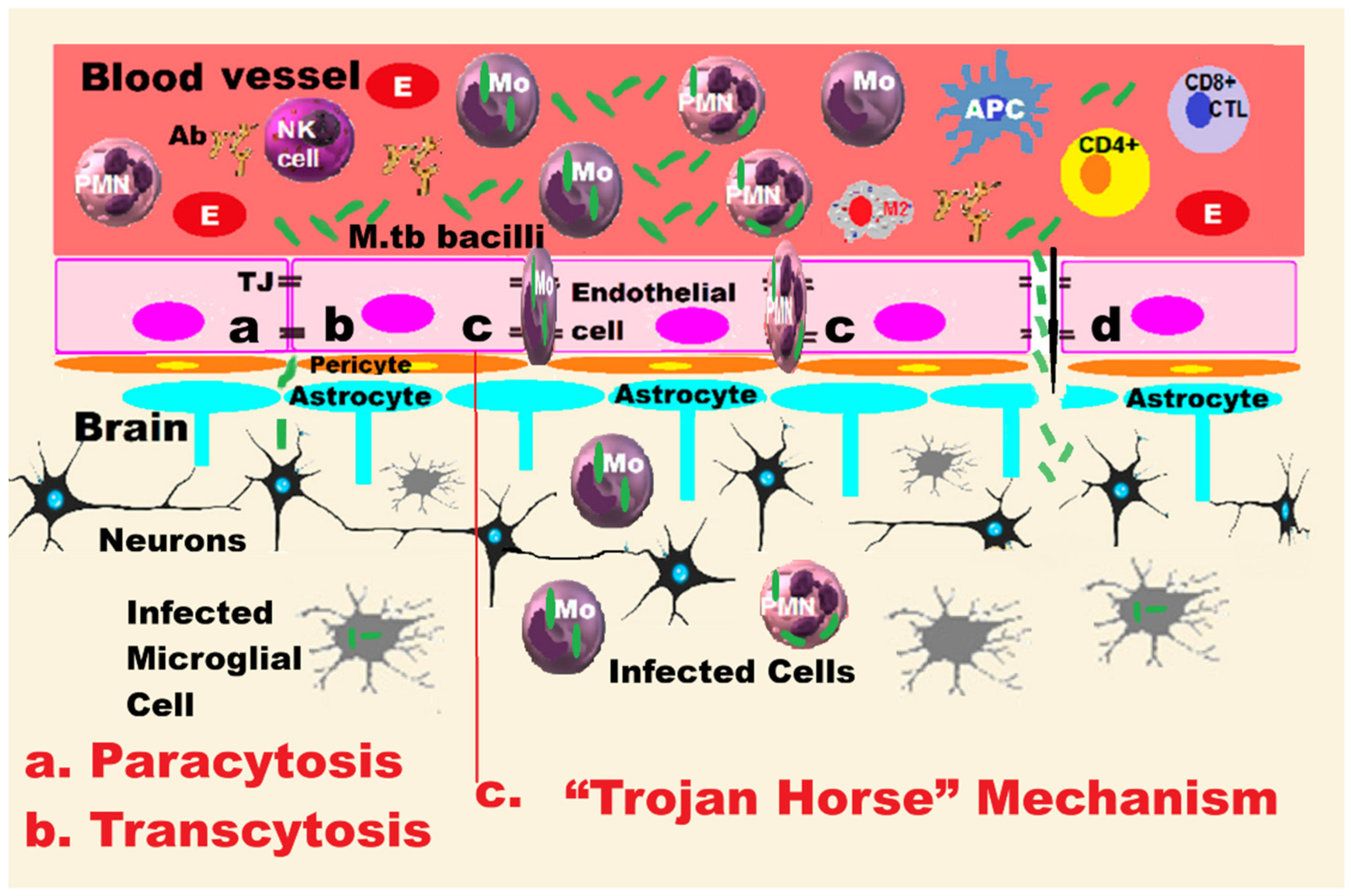 Applsci 16 00232 g004