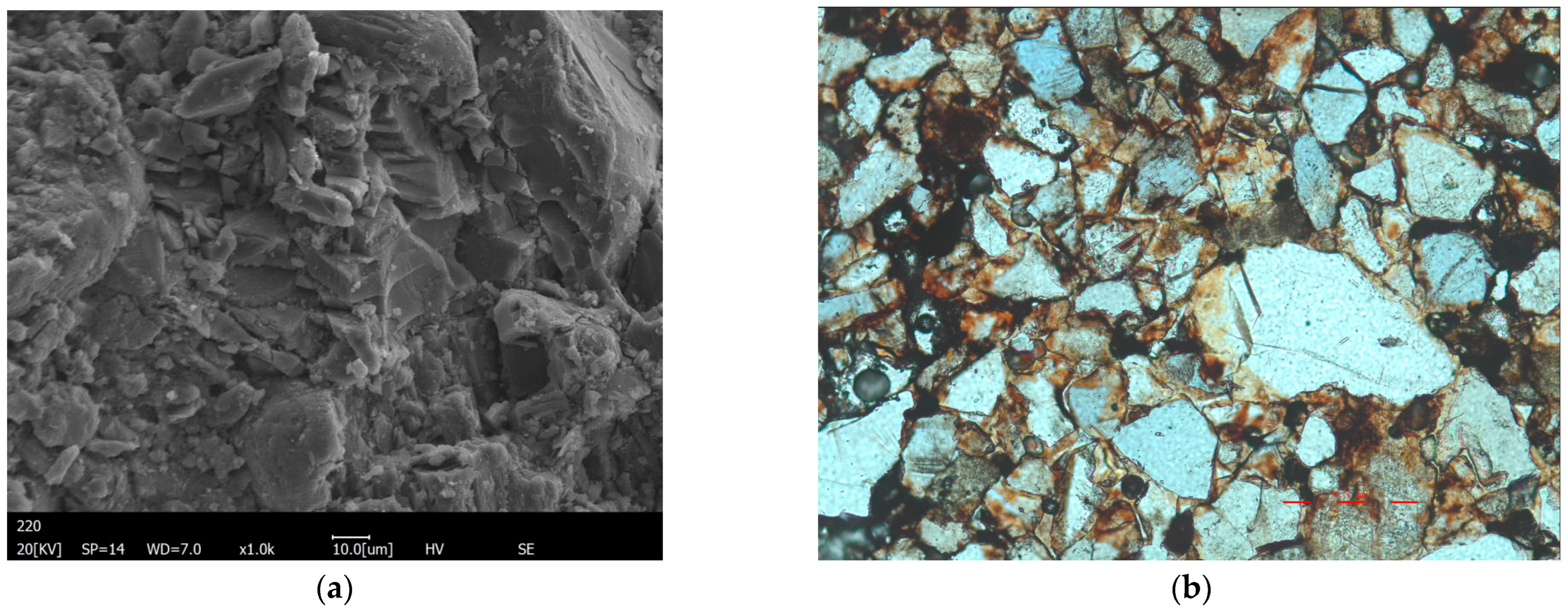 Applsci 16 00243 g002