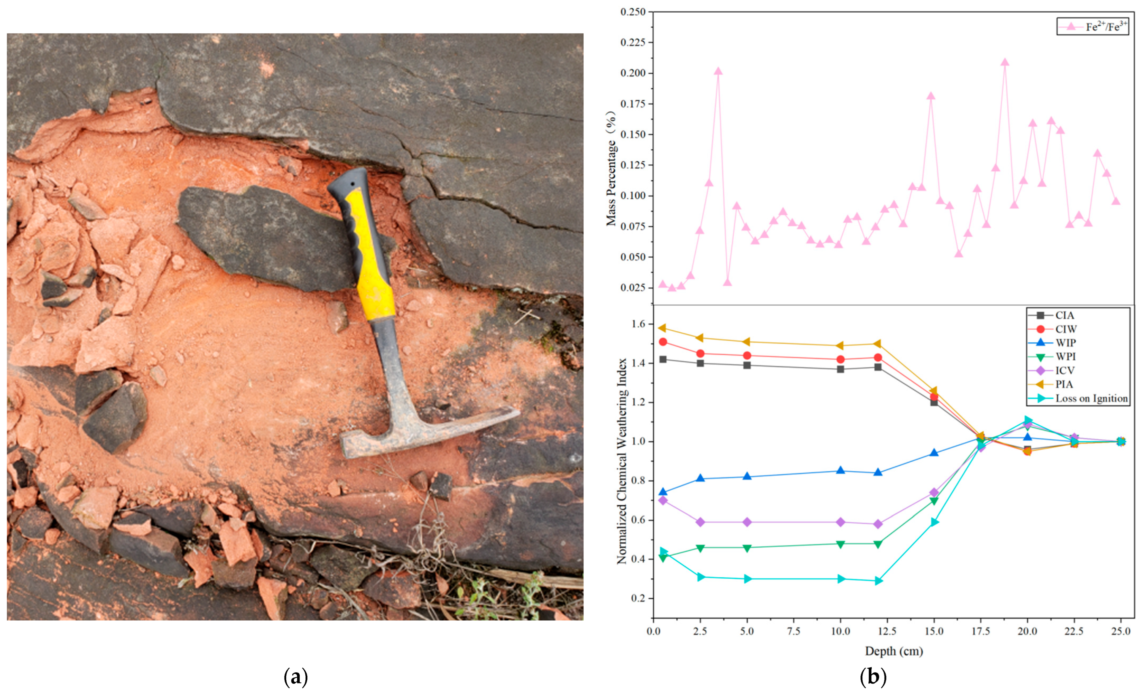 Applsci 16 00243 g005