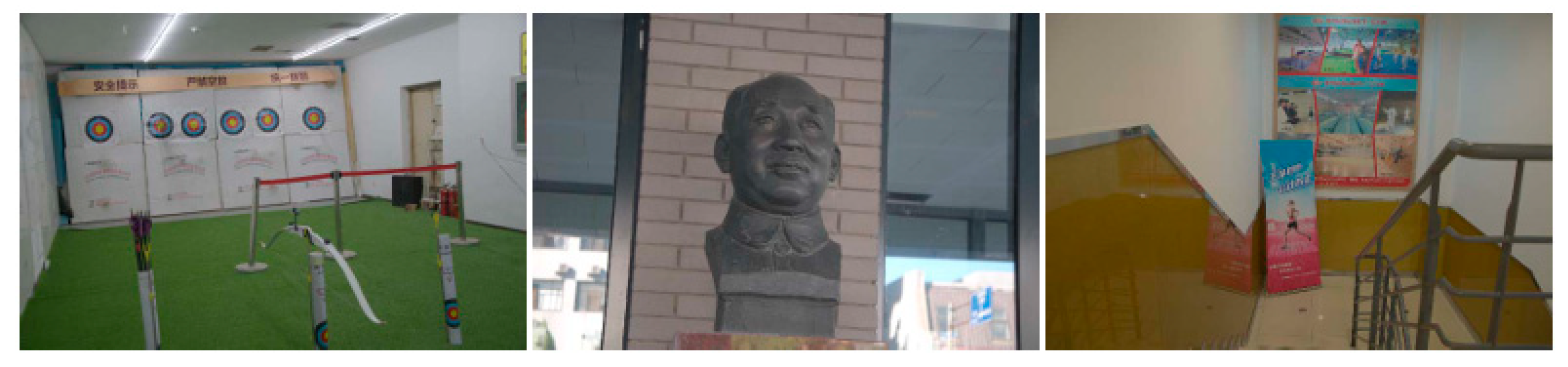 Applsci 16 00245 g005