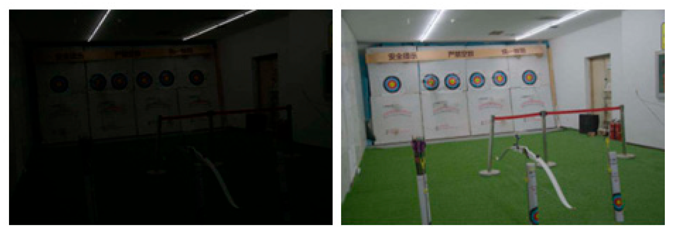 Applsci 16 00245 g006