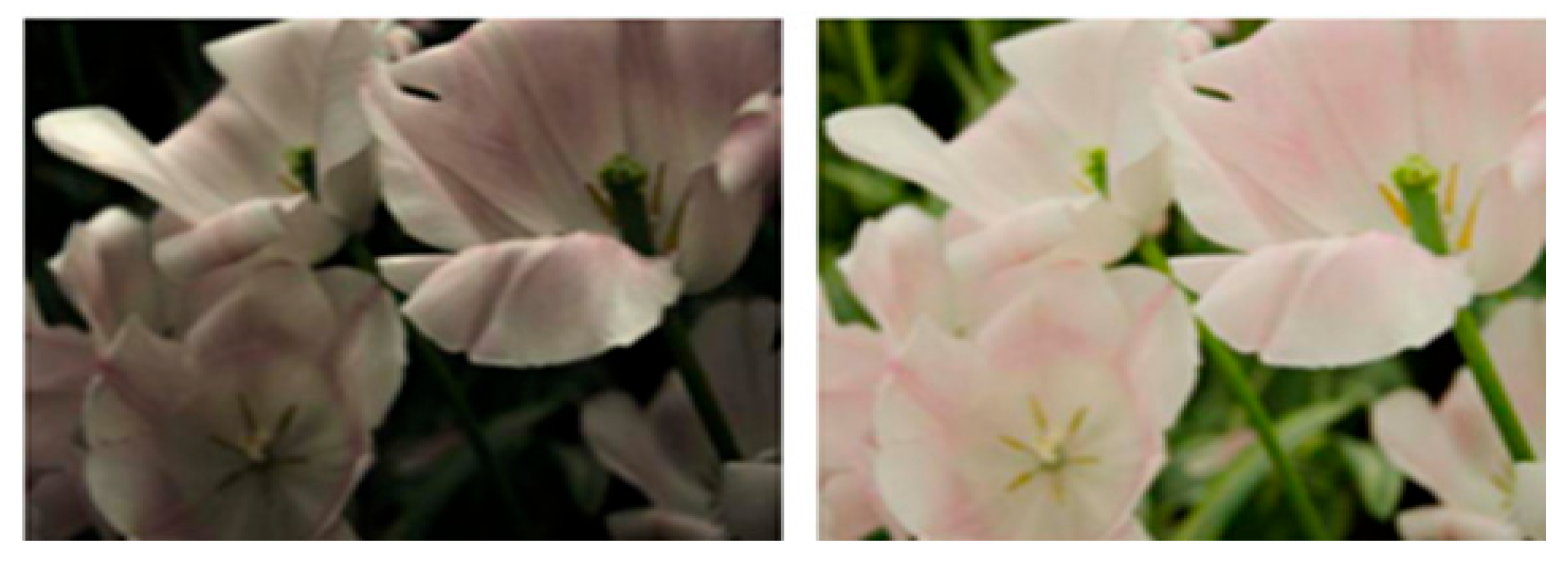 Applsci 16 00245 g007