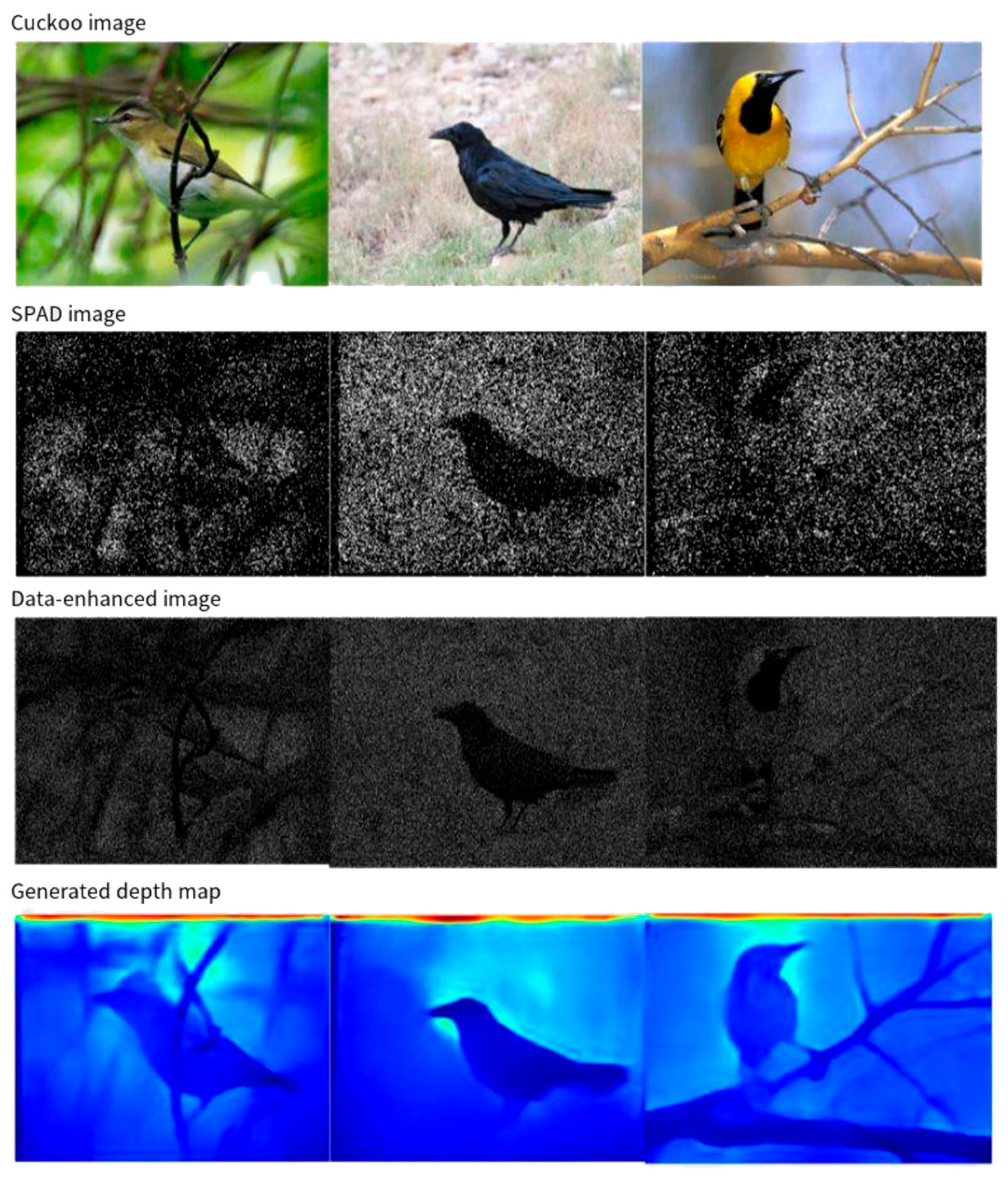 Applsci 16 00245 g014