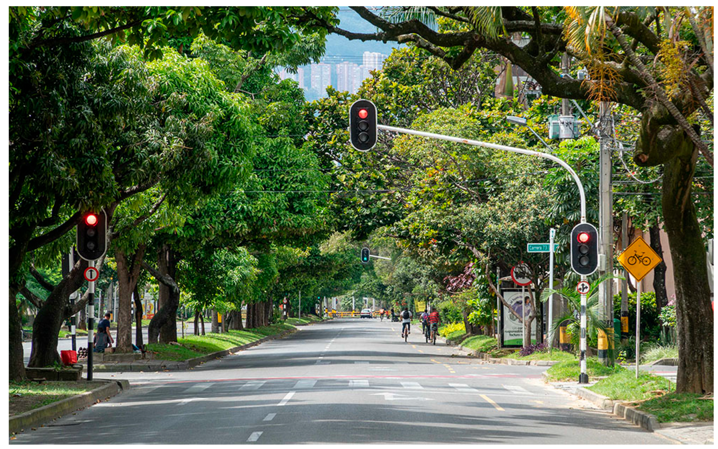 Applsci 16 00259 g010