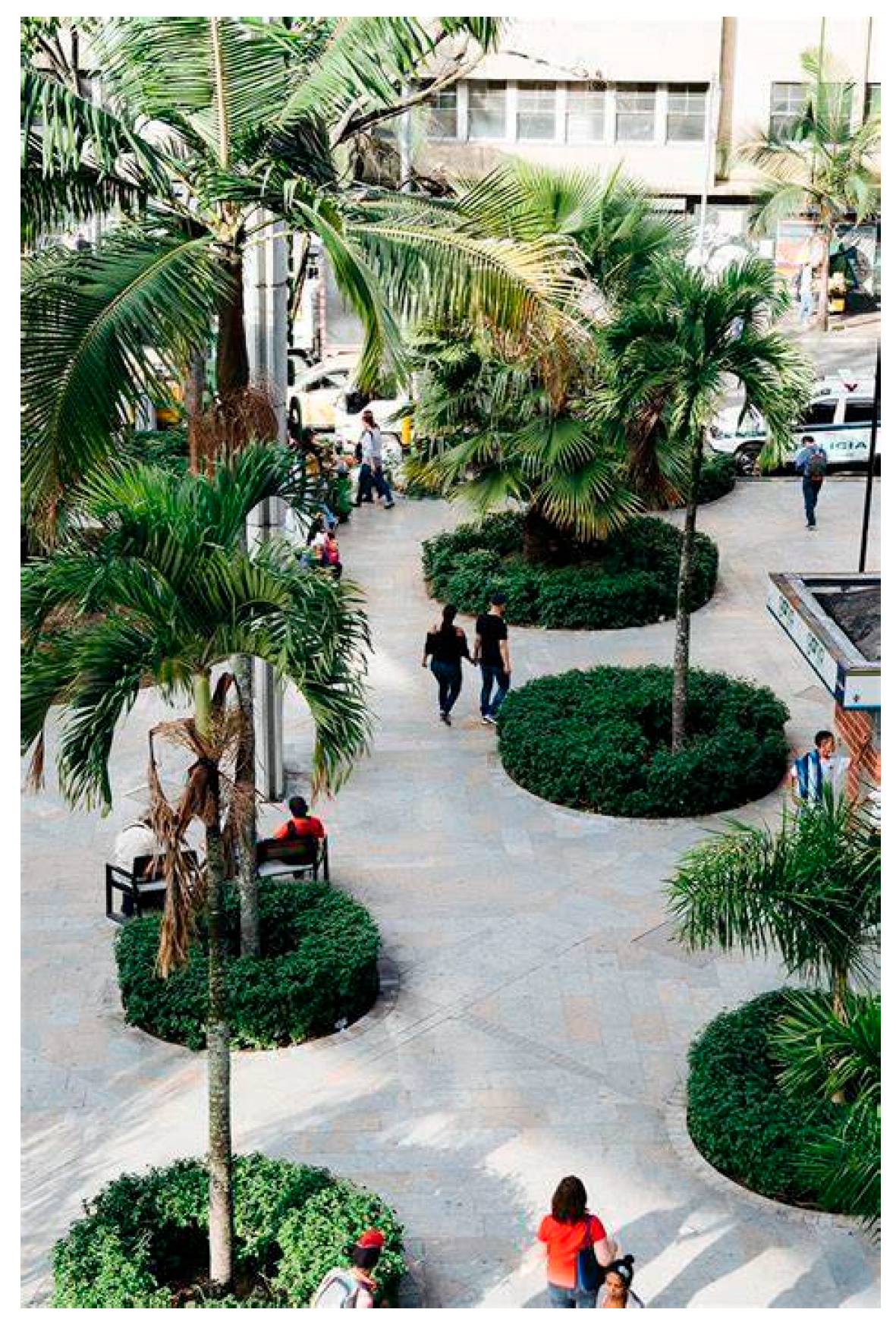 Applsci 16 00259 g011