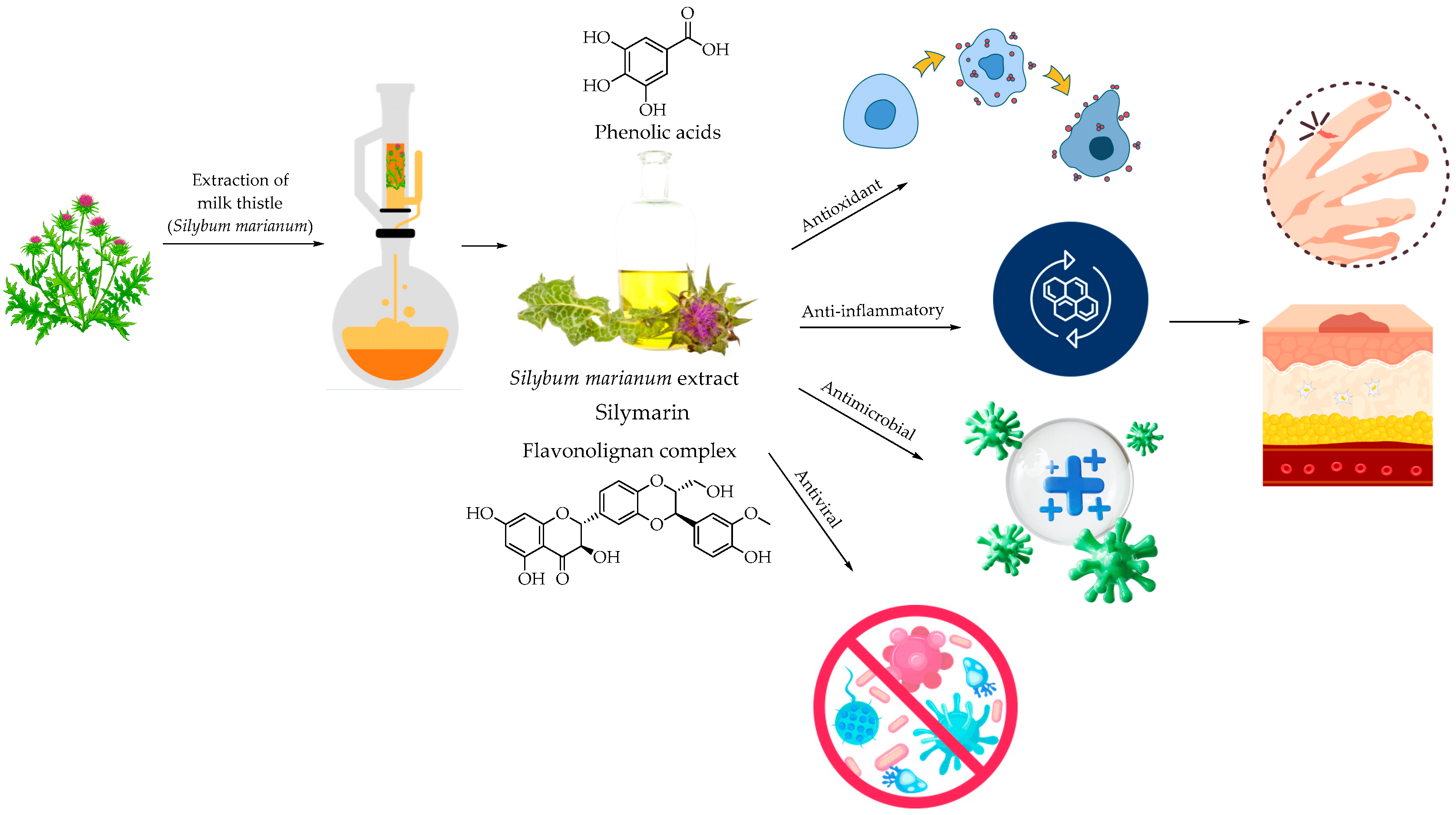 Applsci 16 00283 g002