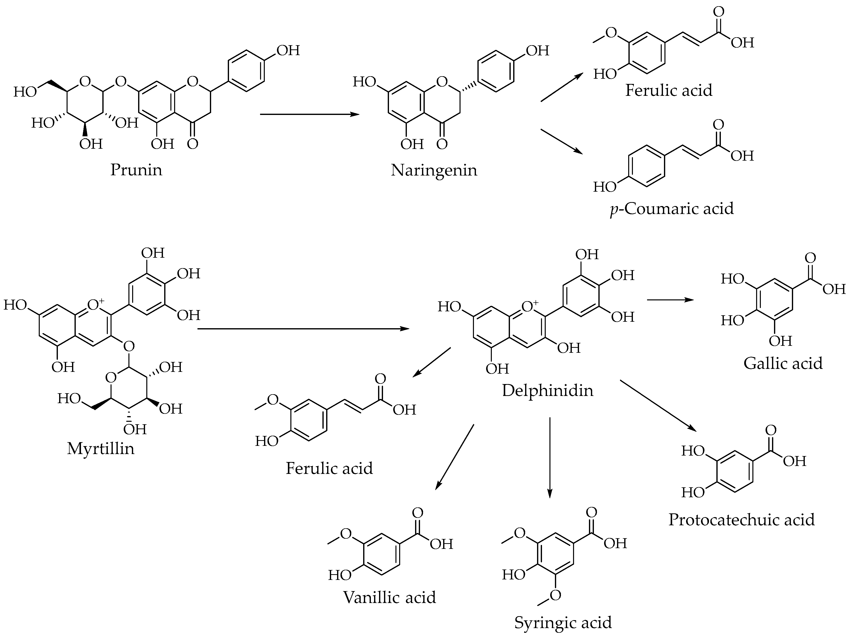Applsci 16 00283 g003